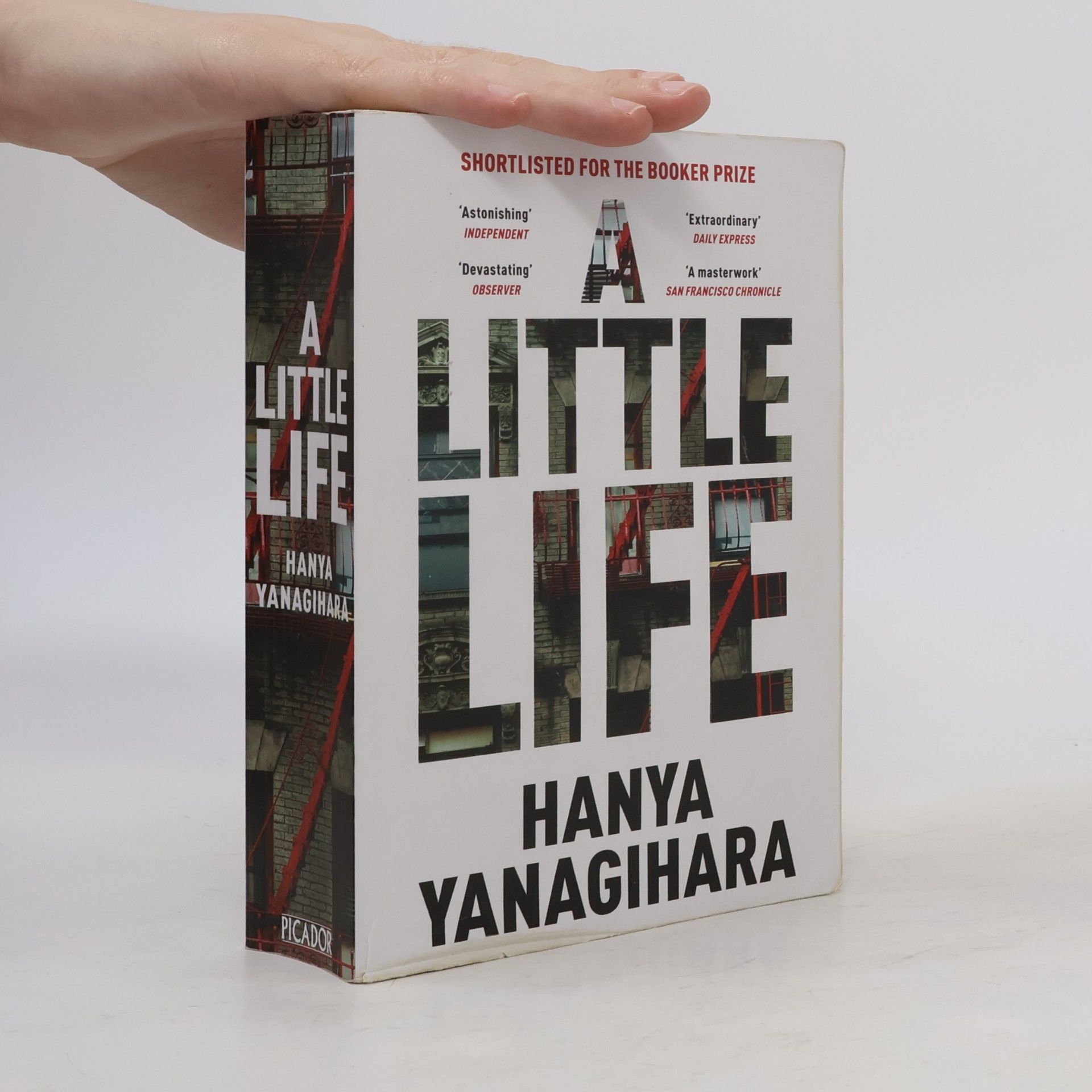 Hanya Yanagihara A Little Life