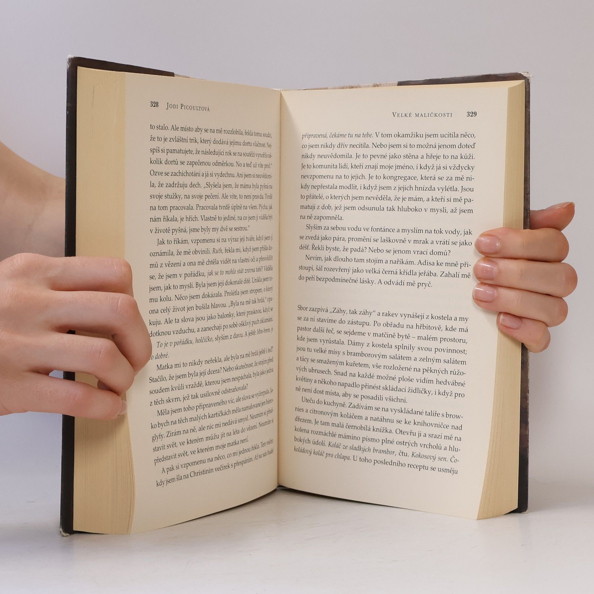 Jodi Picoult Velké maličkosti