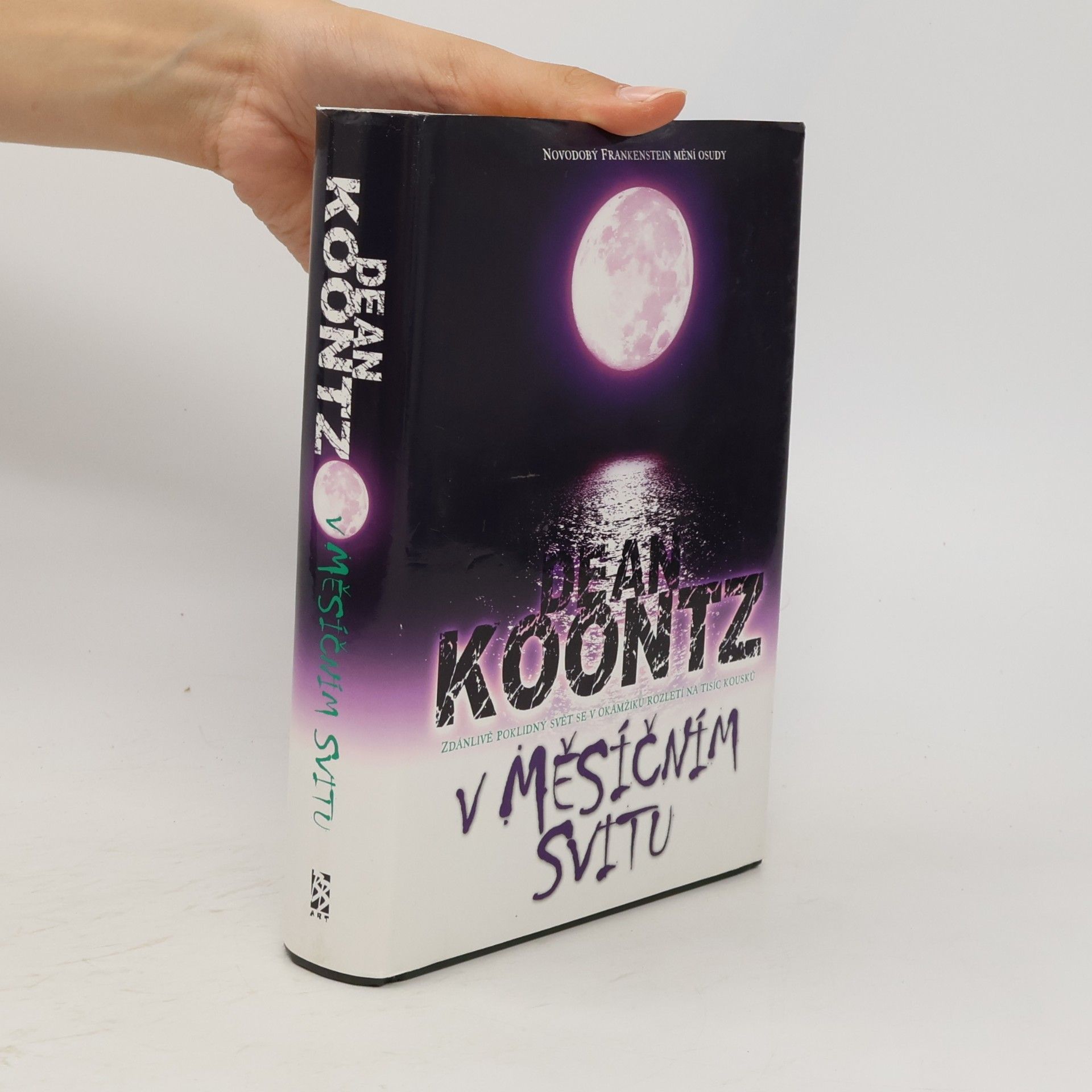 Dean Ray Koontz V měsíčním svitu