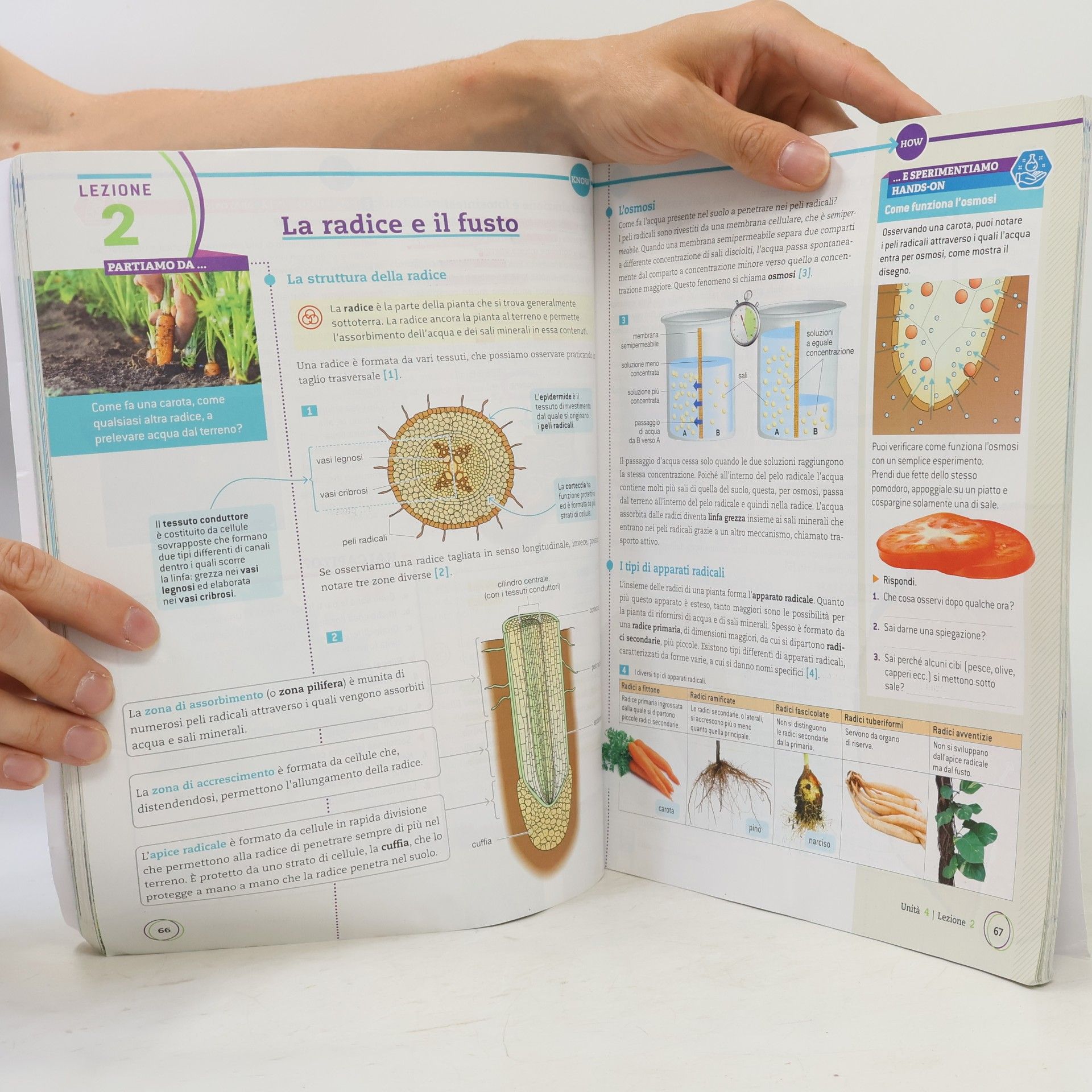 Various authors Scienze live B