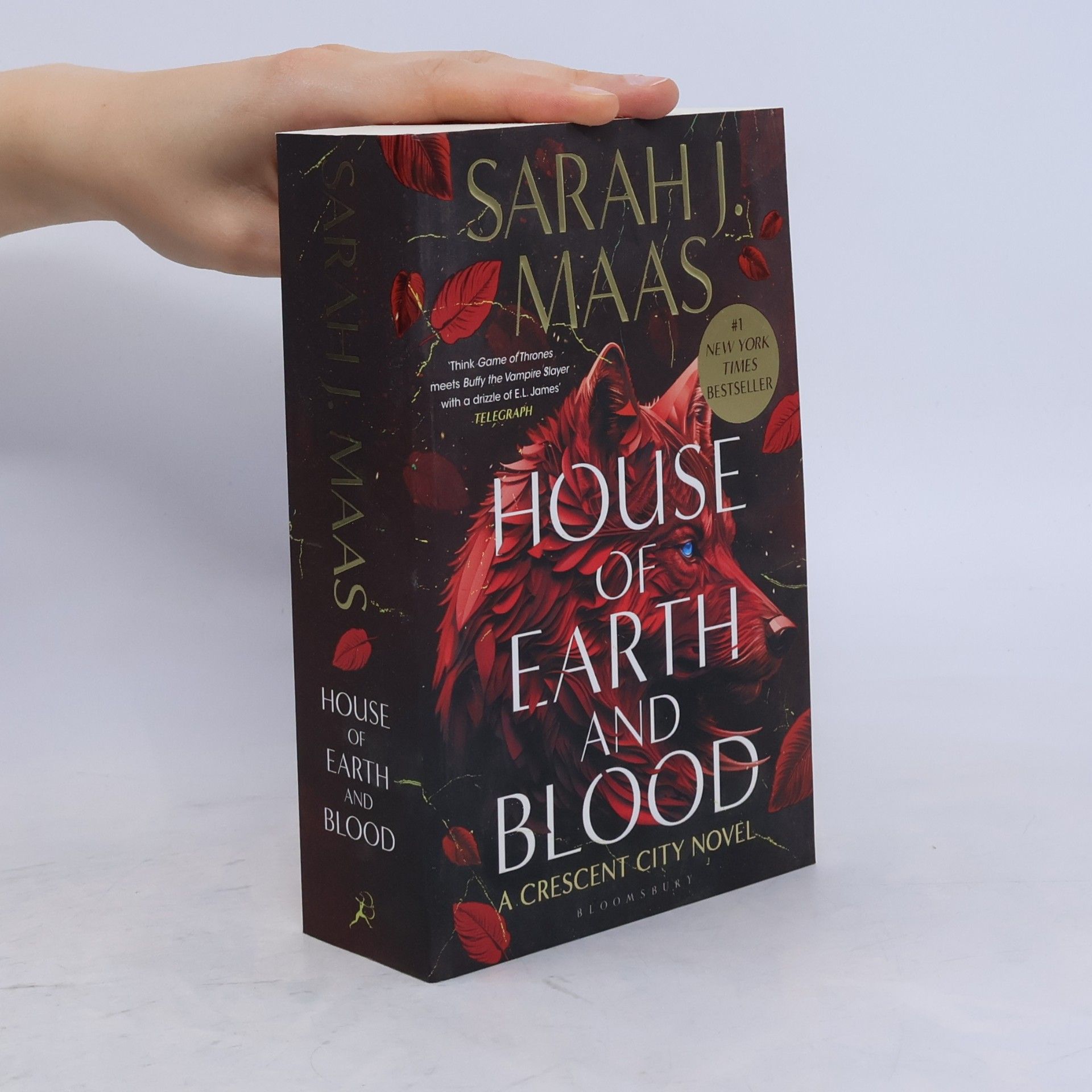 Sarah J. Maas House of Earth and Blood