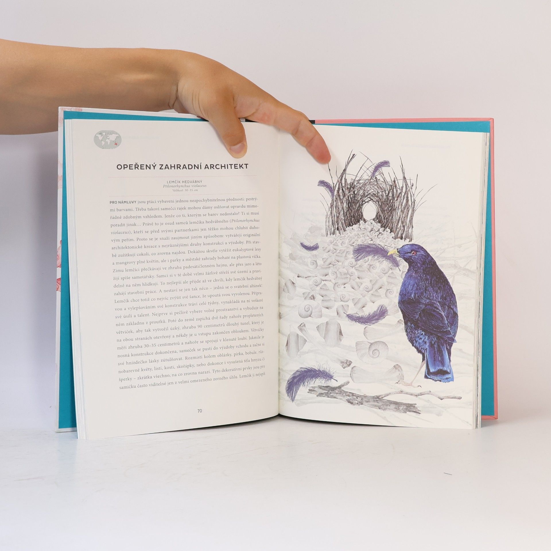 Emmanuelle Pouydebat Atlas poetické zoologie