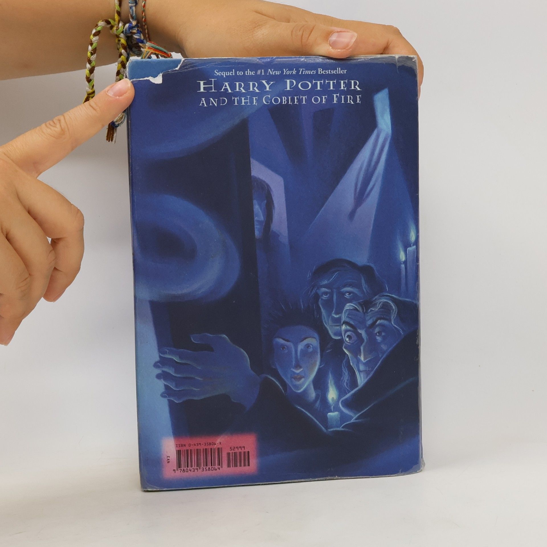 Mary GrandPré Harry Potter and The Order of the Phoenix