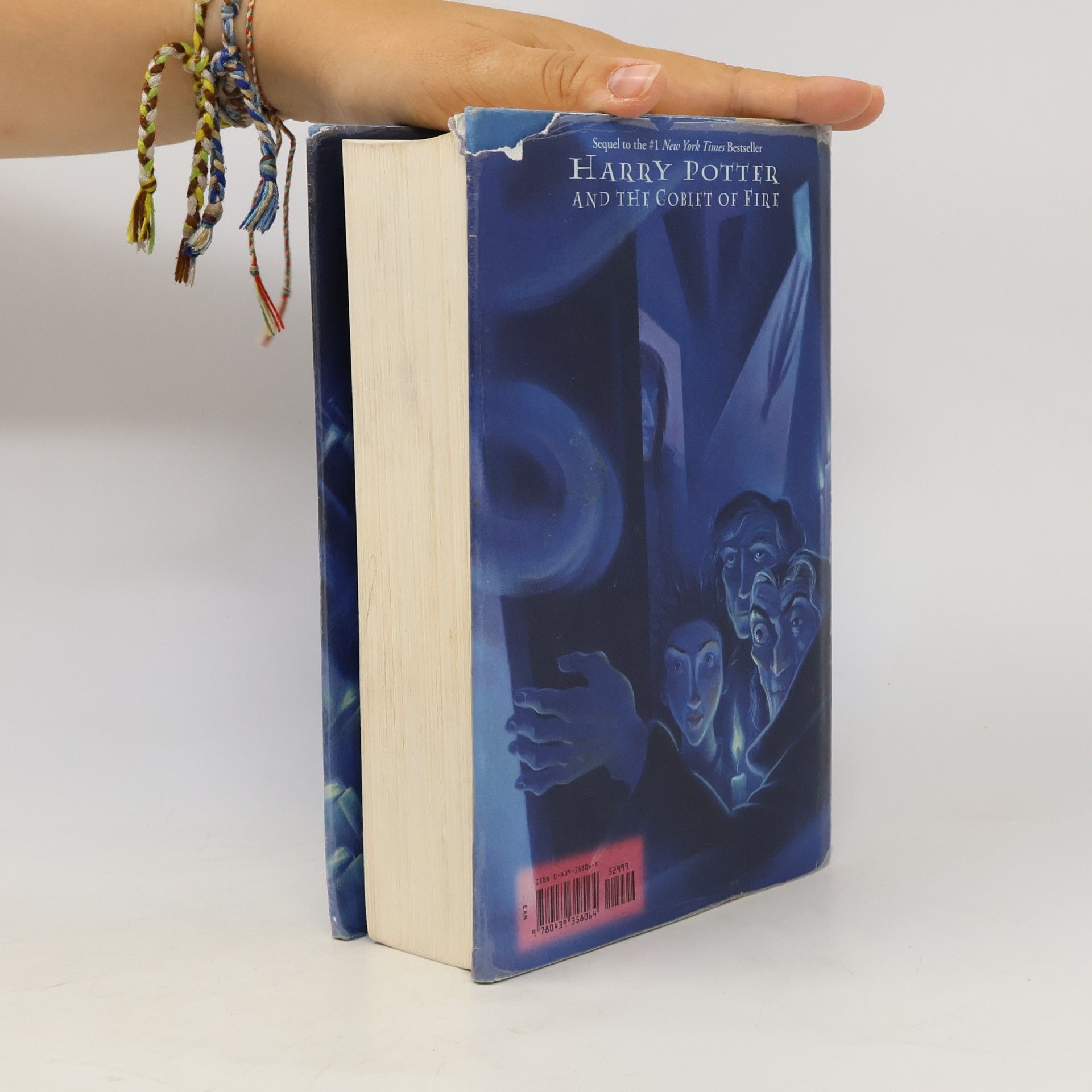 Mary GrandPré Harry Potter and The Order of the Phoenix