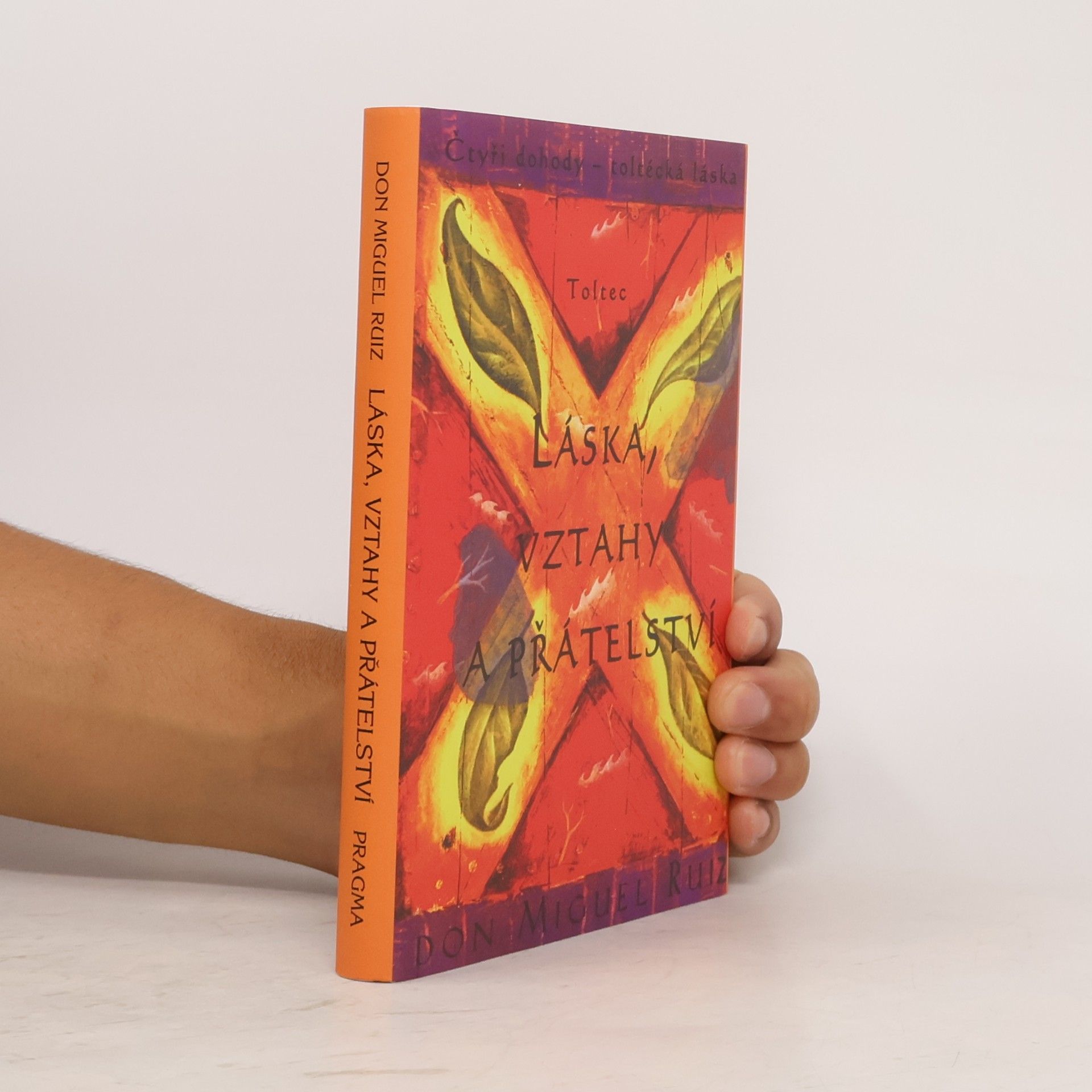 Don Miguel Ruiz Láska, vztahy a přátelství