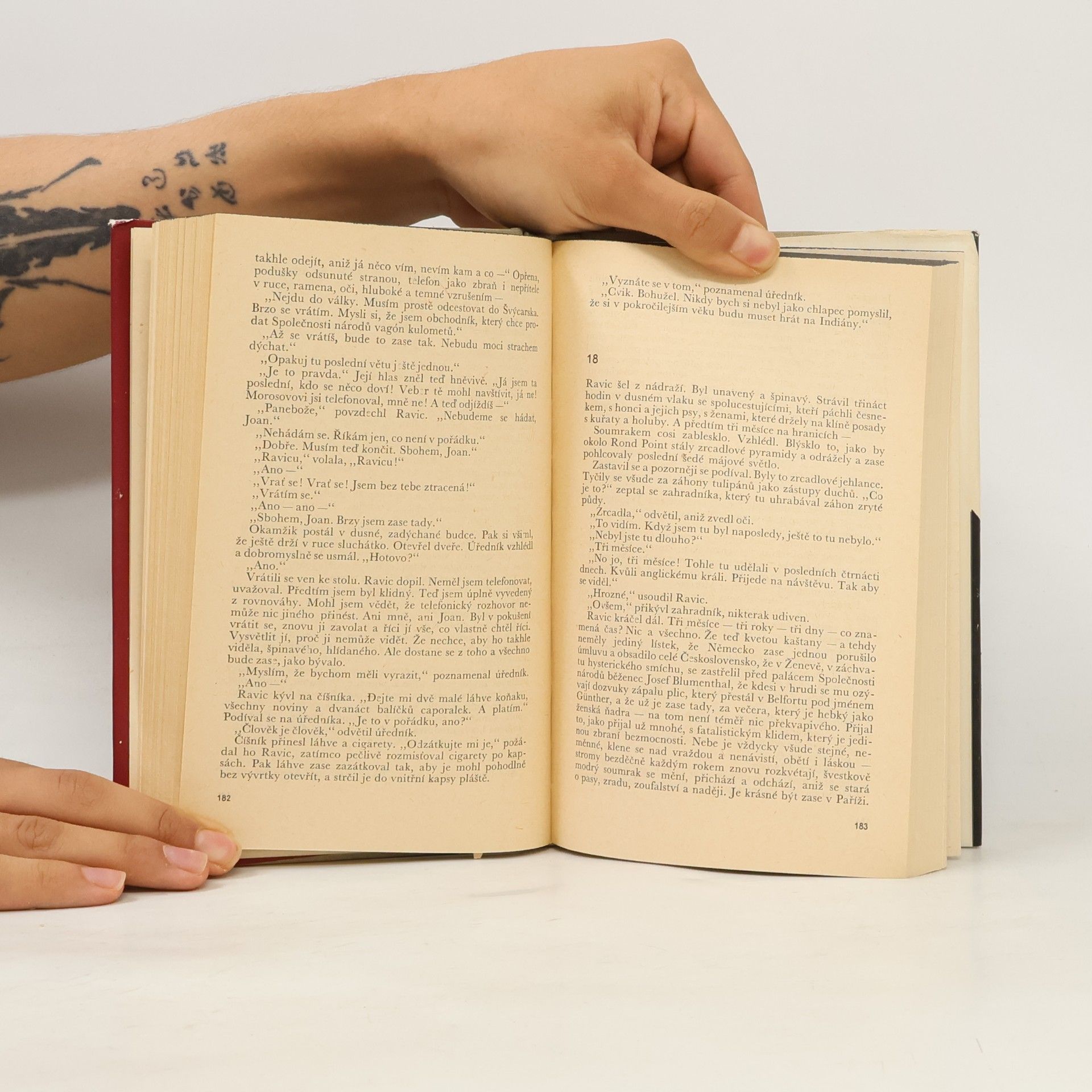 Erich Maria Remarque Vítězný oblouk
