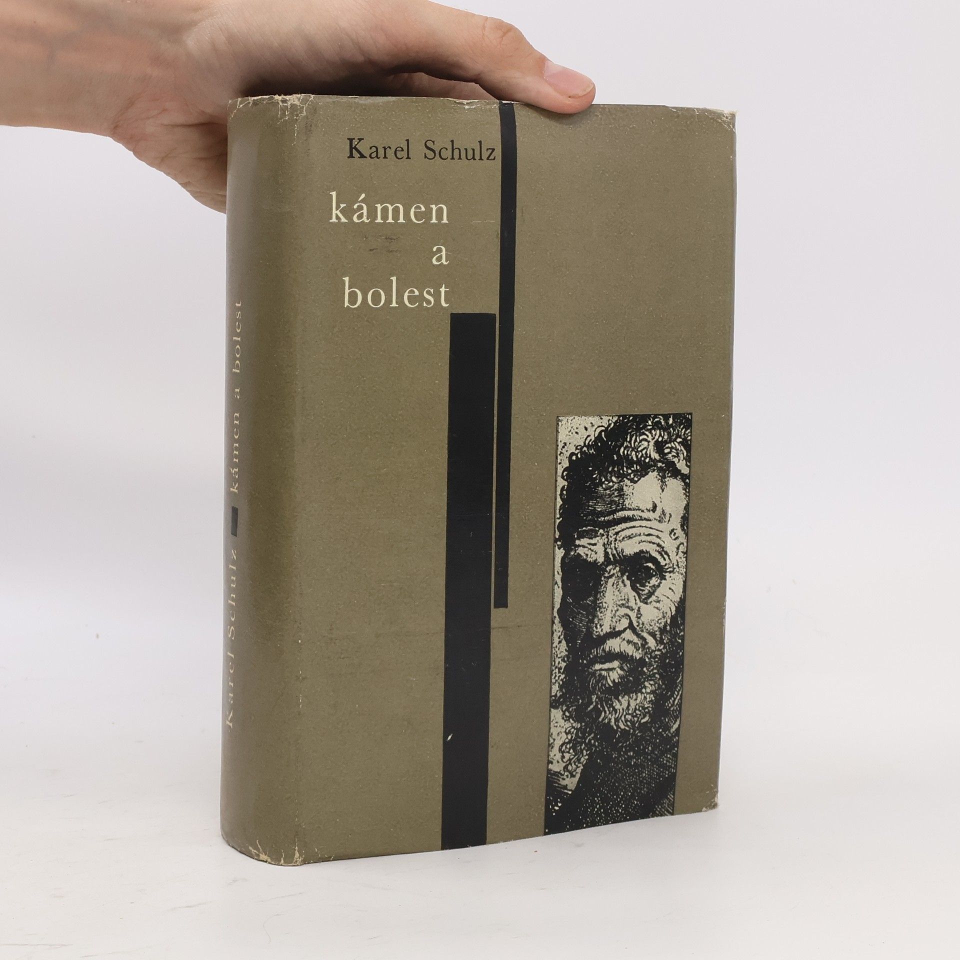 Karel Schulz Kámen a bolest