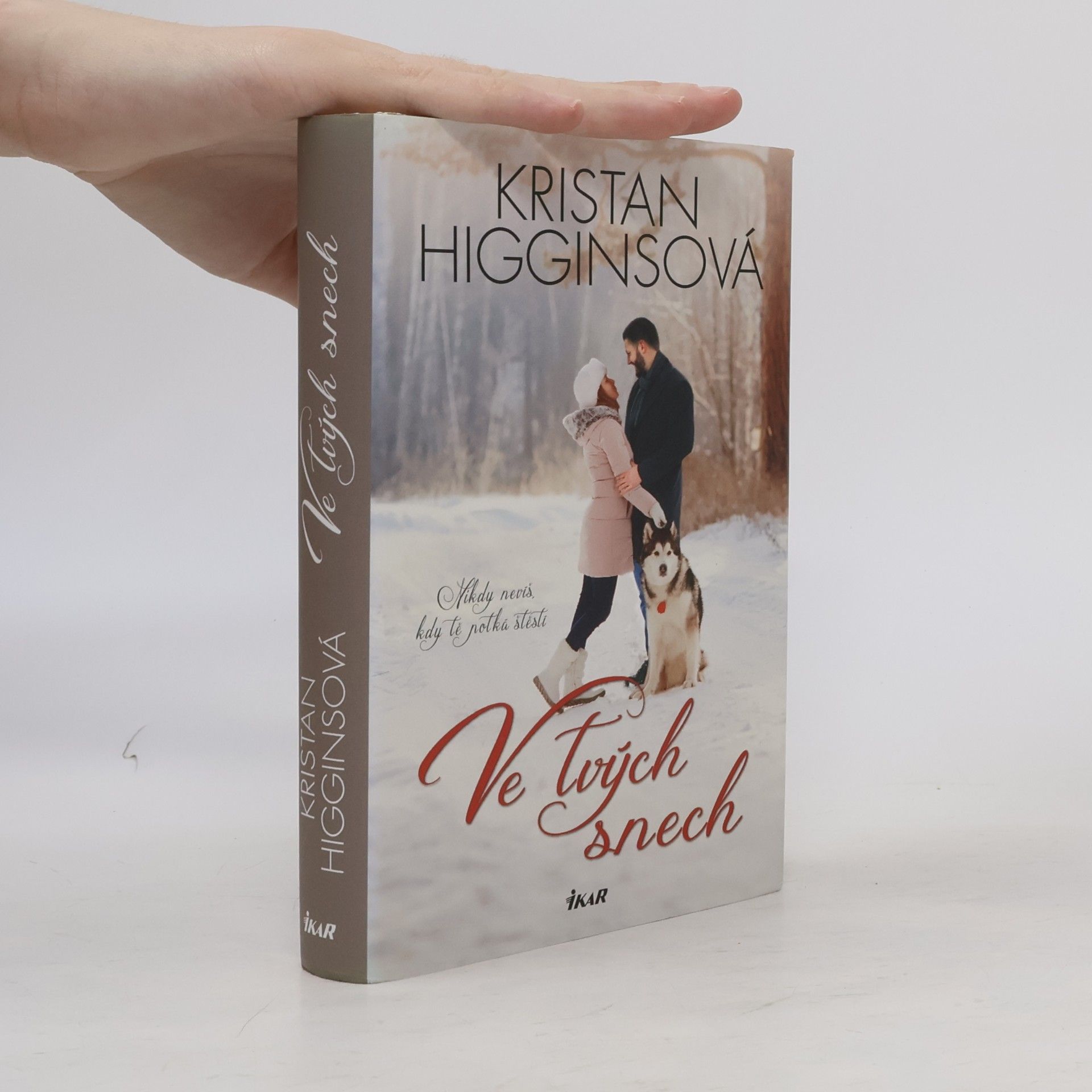 Kristan Higgins Ve tvých snech