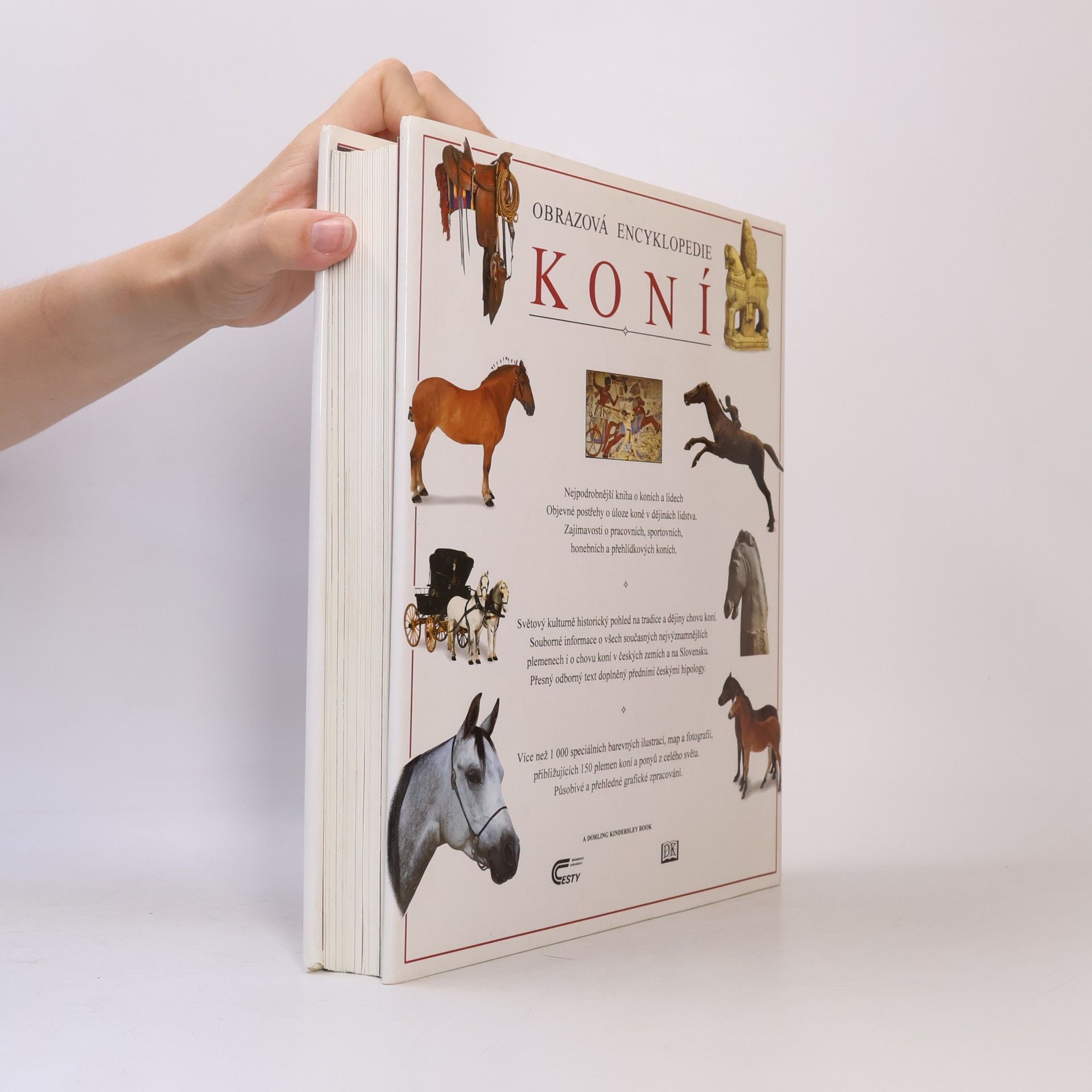 Autorenkollektiv Obrazová encyklopedie koní
