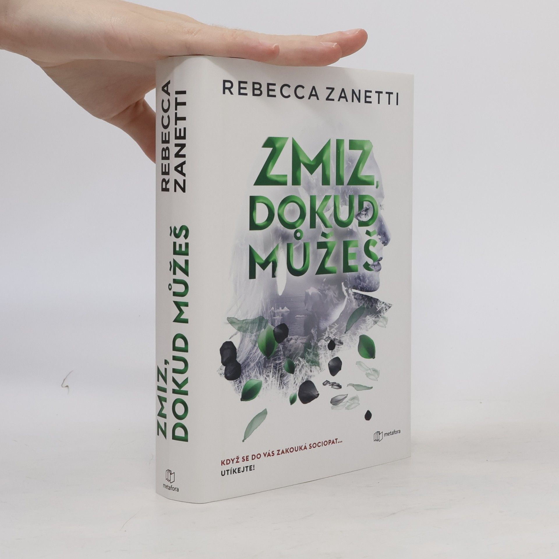 Rebecca Zanetti Zmiz, dokud můžeš