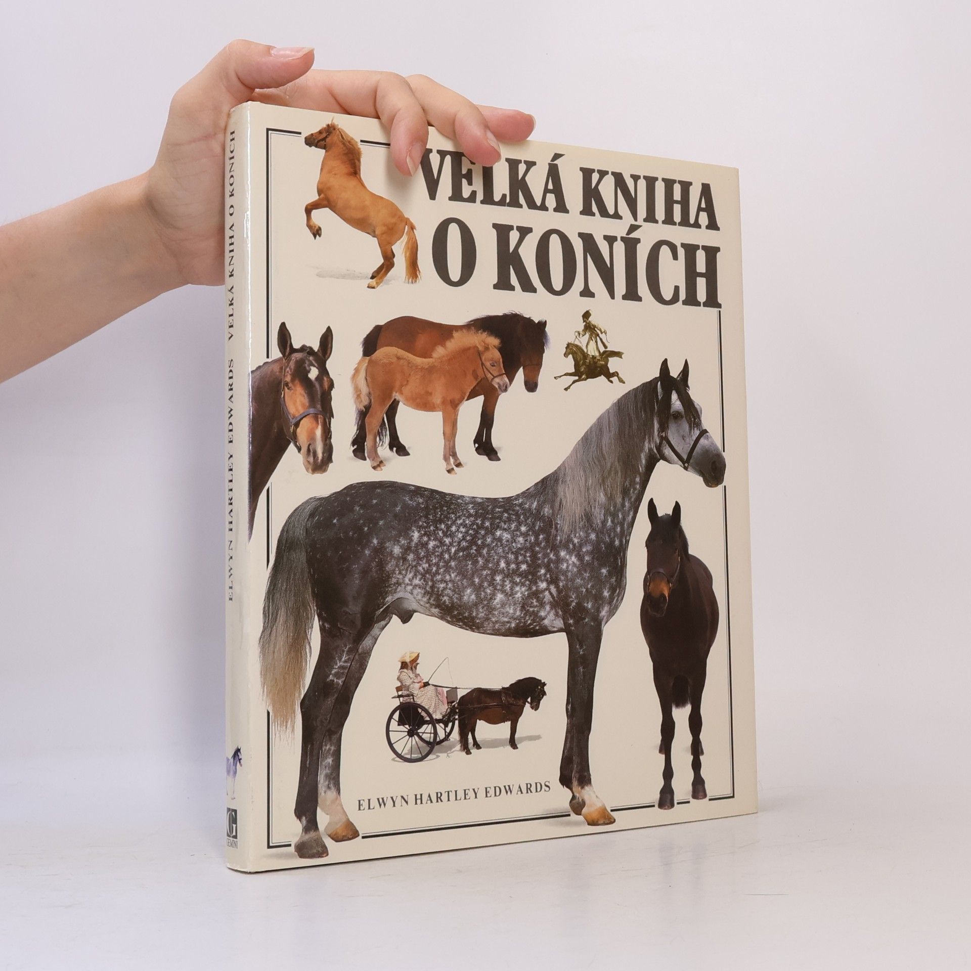 Velká kniha o koních