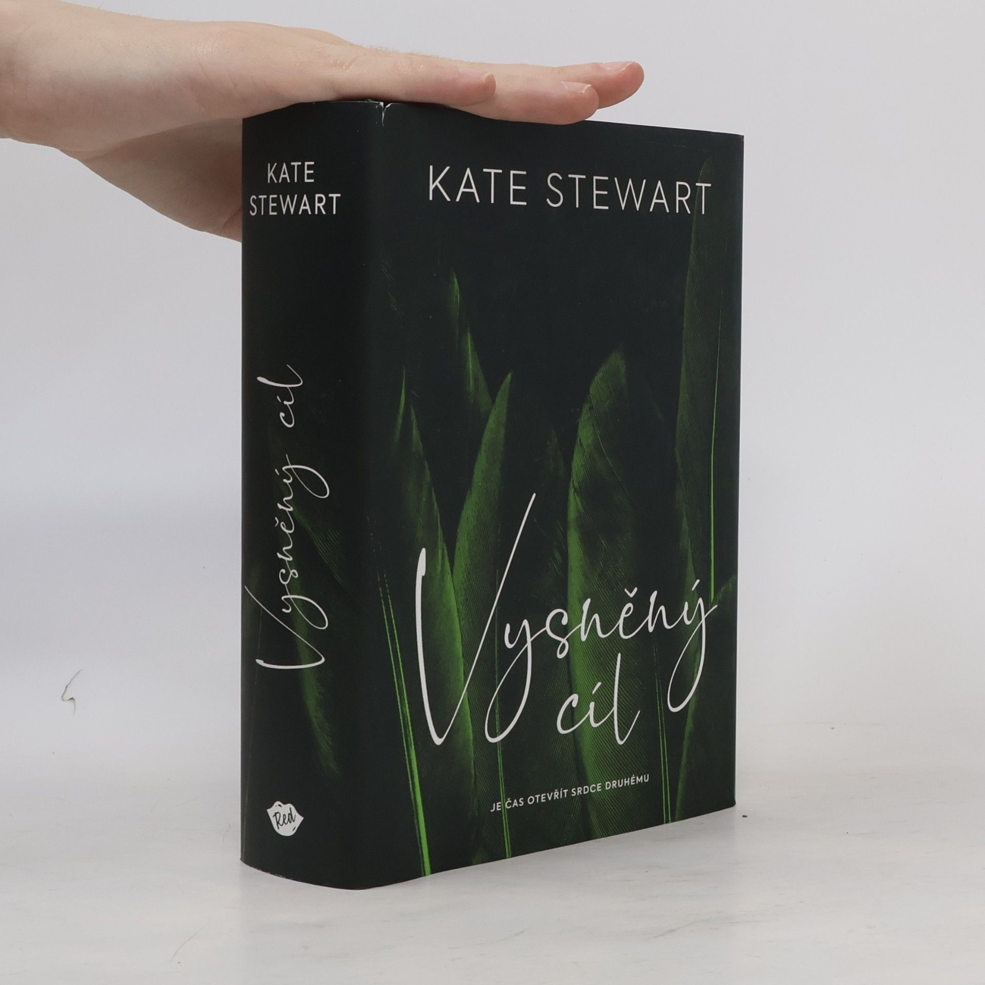 Kate Stewart Vysněný cíl. Kniha třetí