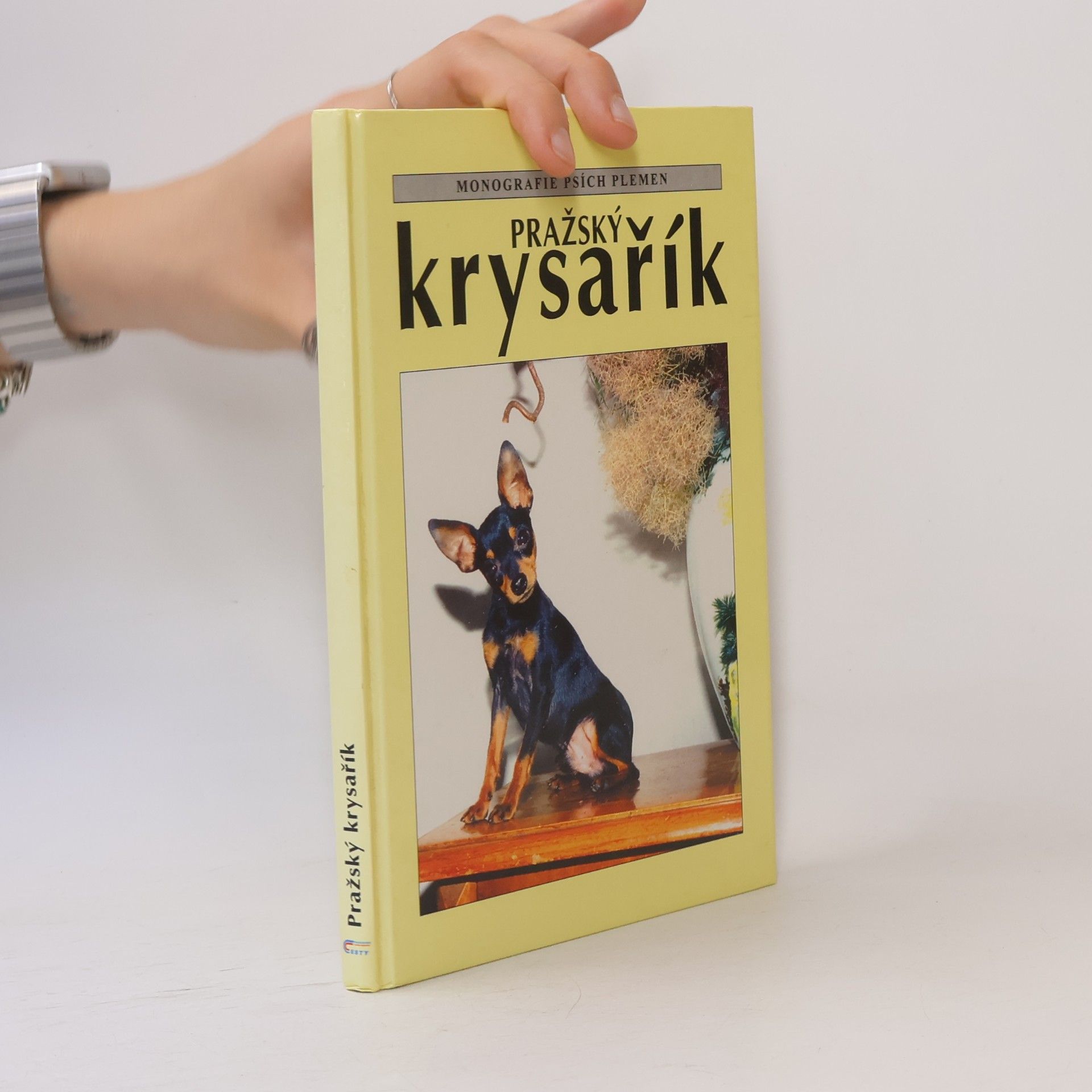 Various authors Pražský krysařík