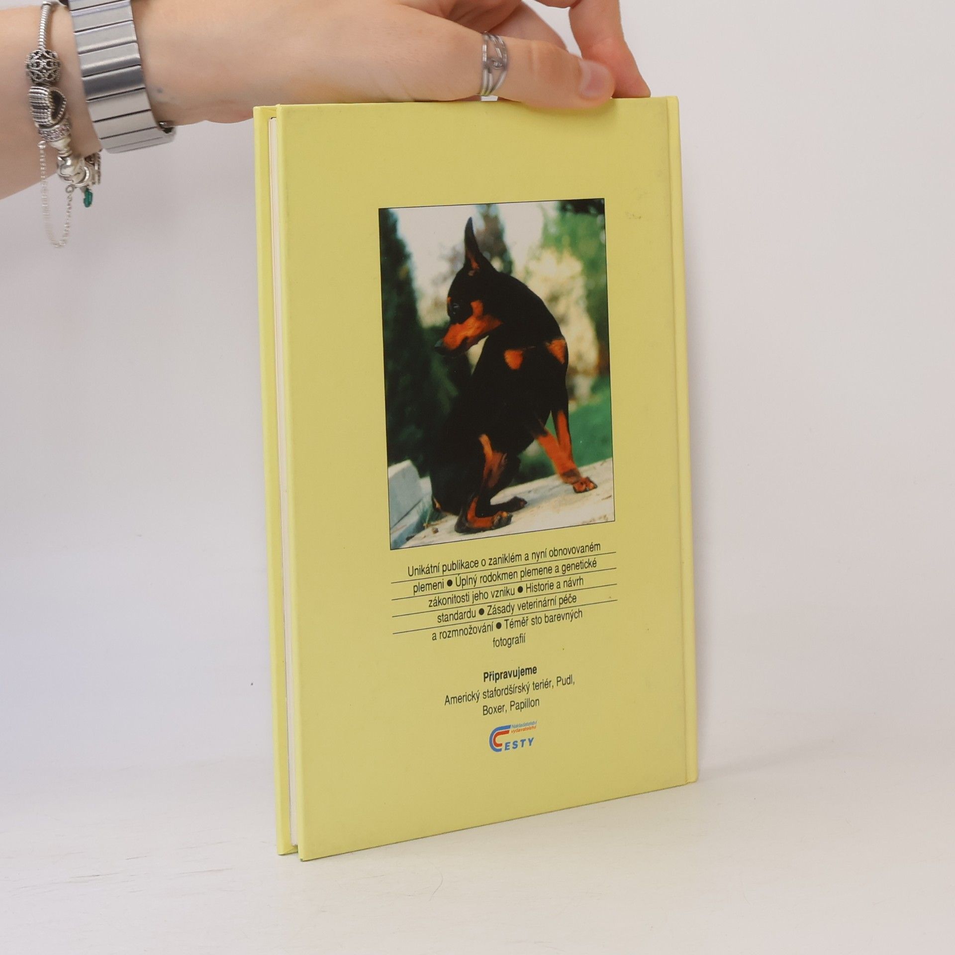 Various authors Pražský krysařík