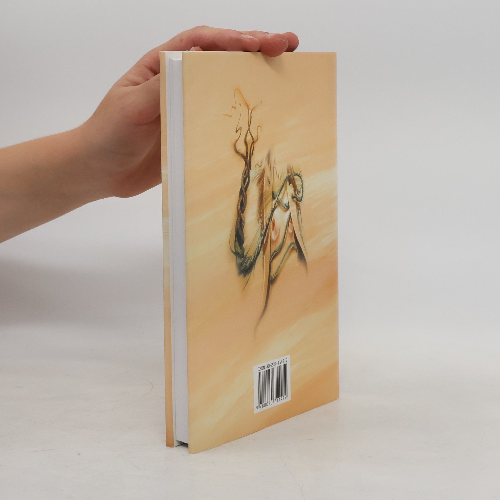 John Irving Manželství do 158 liber