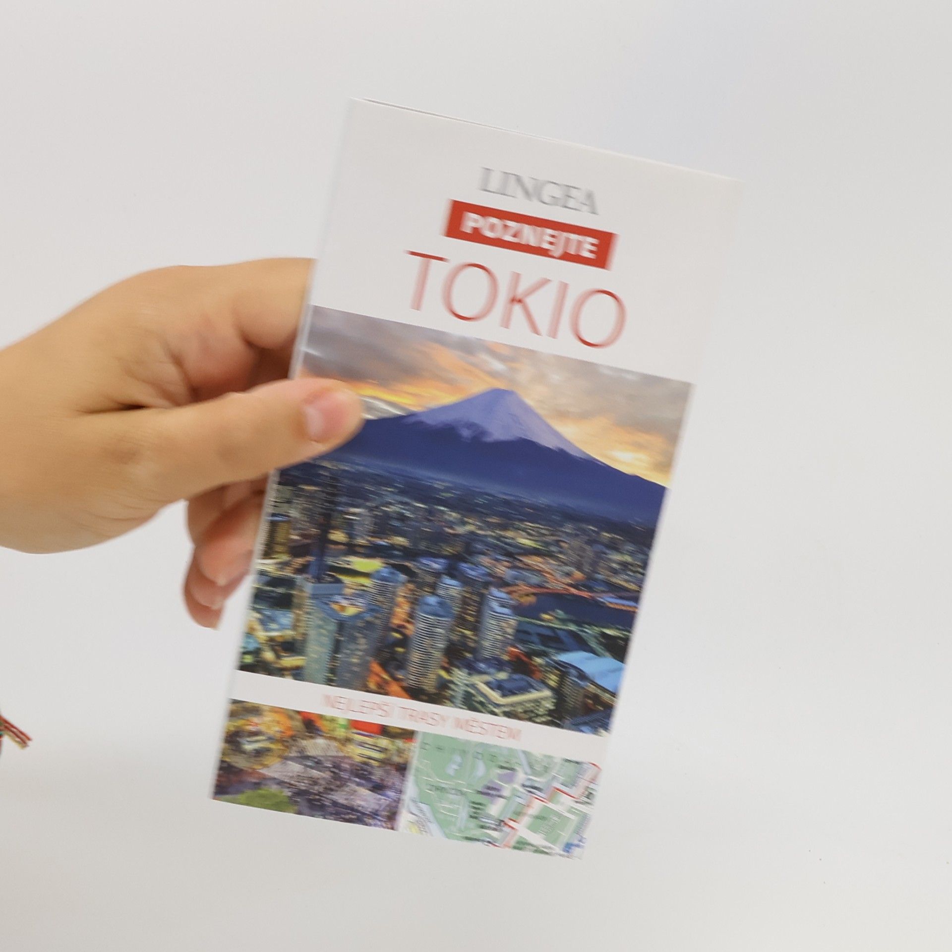 Kolektiv autorů Tokio