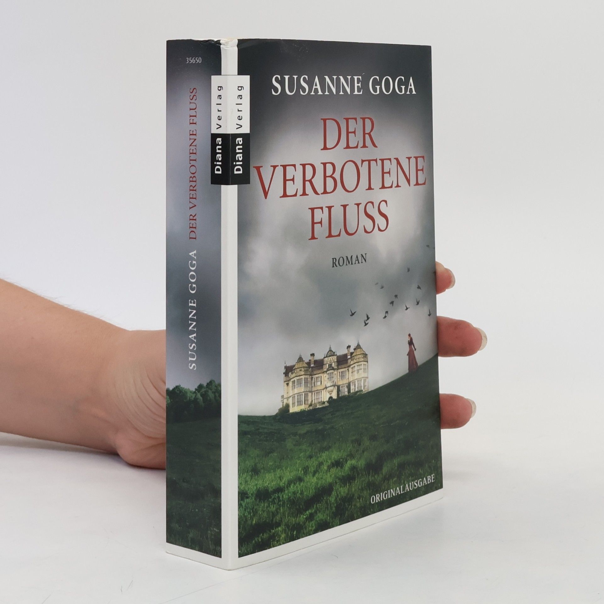 Susanne Goga Der verbotene Fluss
