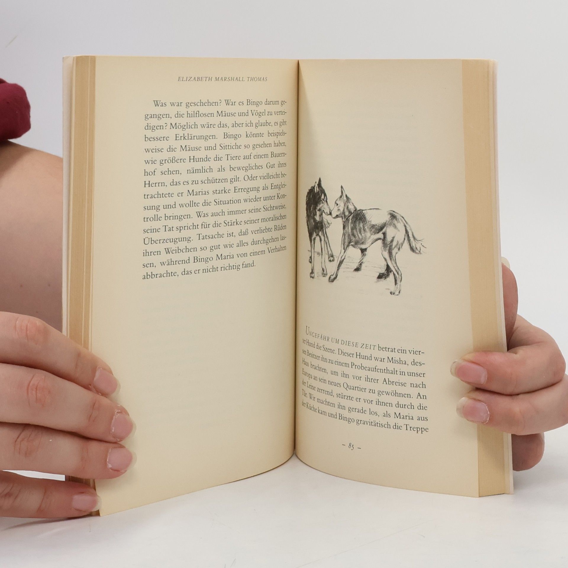 Elizabeth Marshall Thomas Das geheime Leben der Hunde