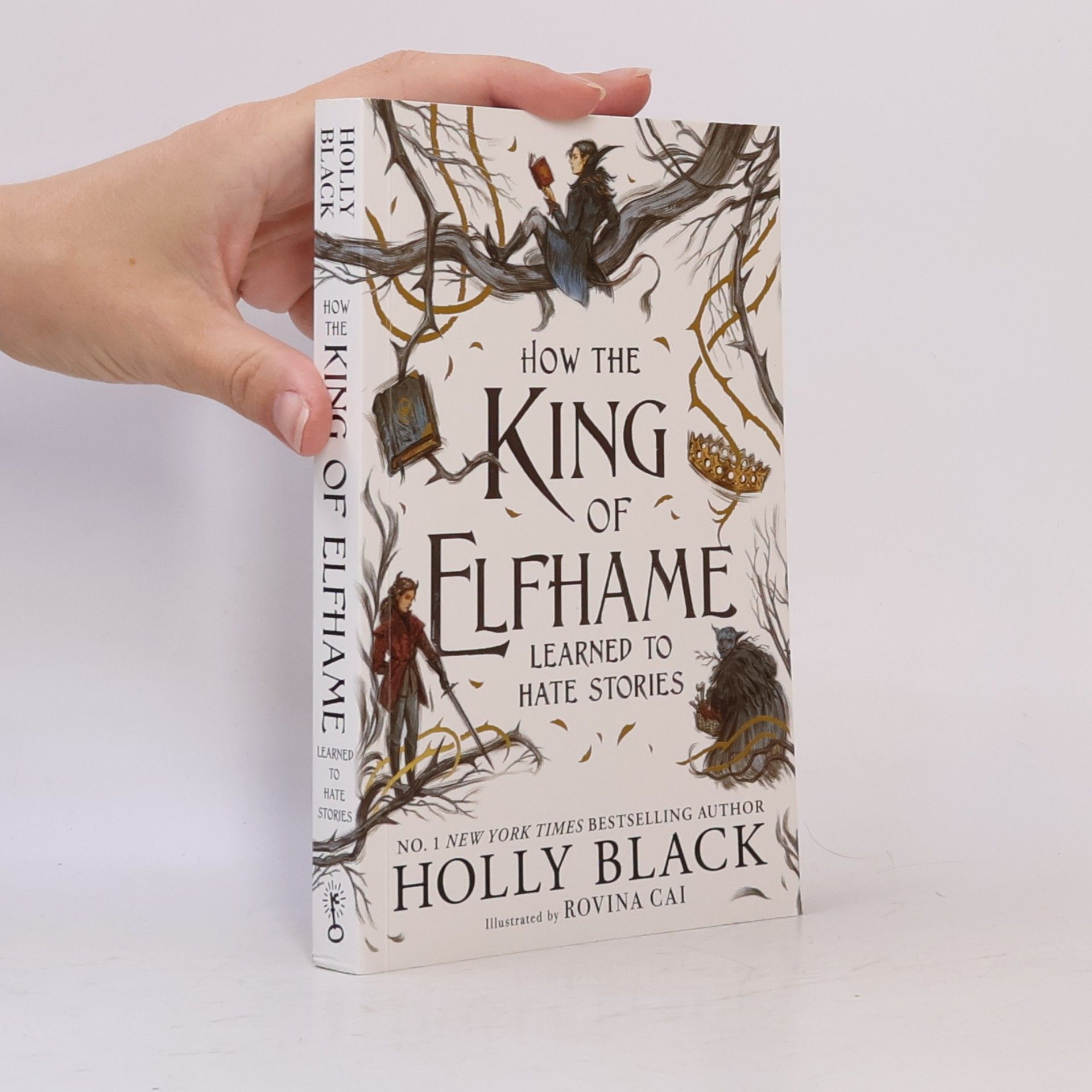 Rovina Cai How the King of Elfhame Learned to Hate Stories