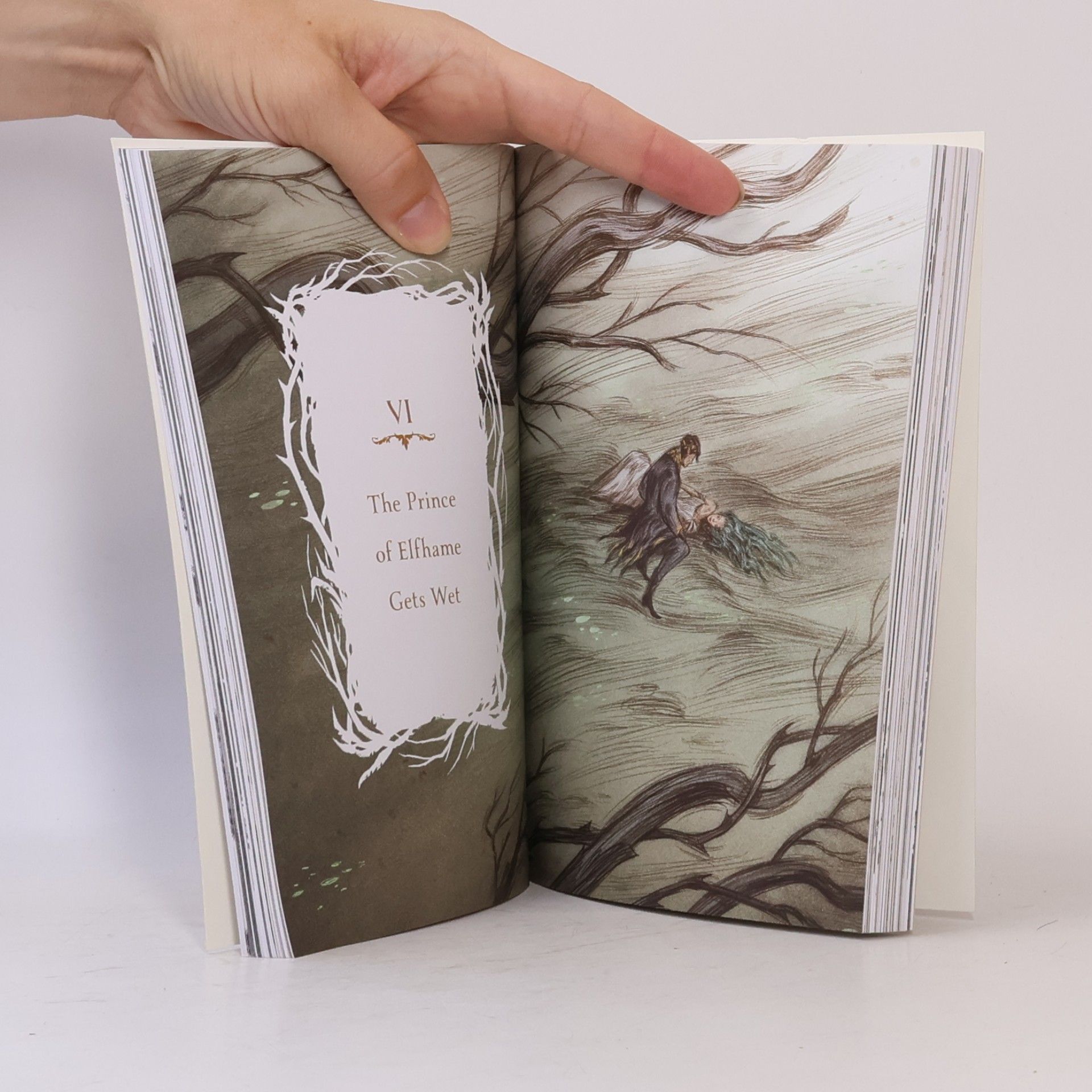 Holly Black How the King of Elfhame Learned to Hate Stories