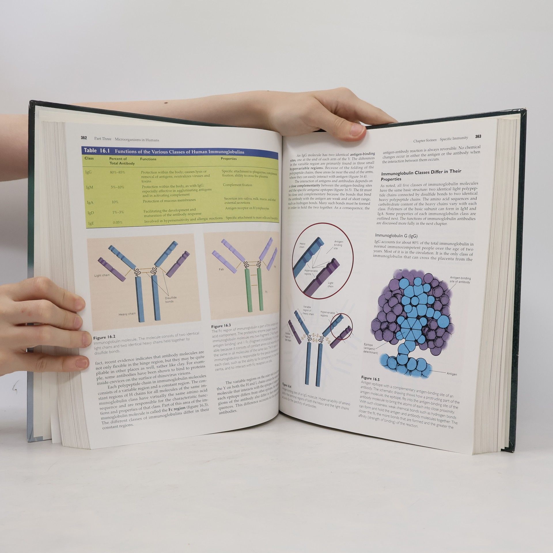Kolektív autorov Microbiology. A human perspective