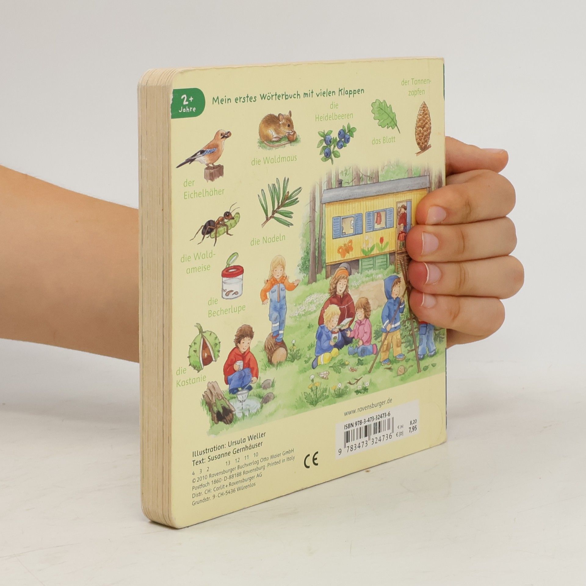 Ursula Weller Mein erstes Wörterbuch