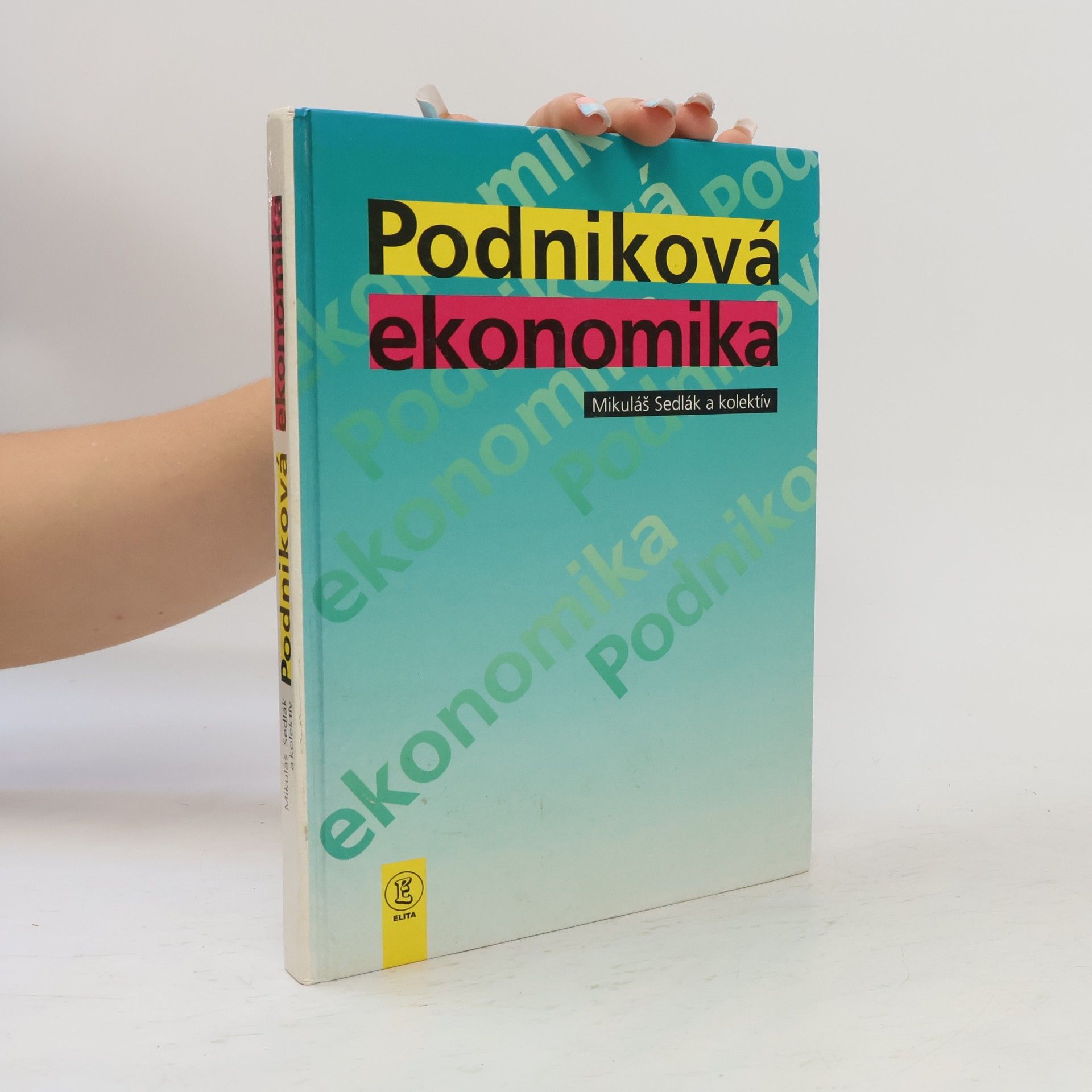 Juraj Stern Podniková ekonomika