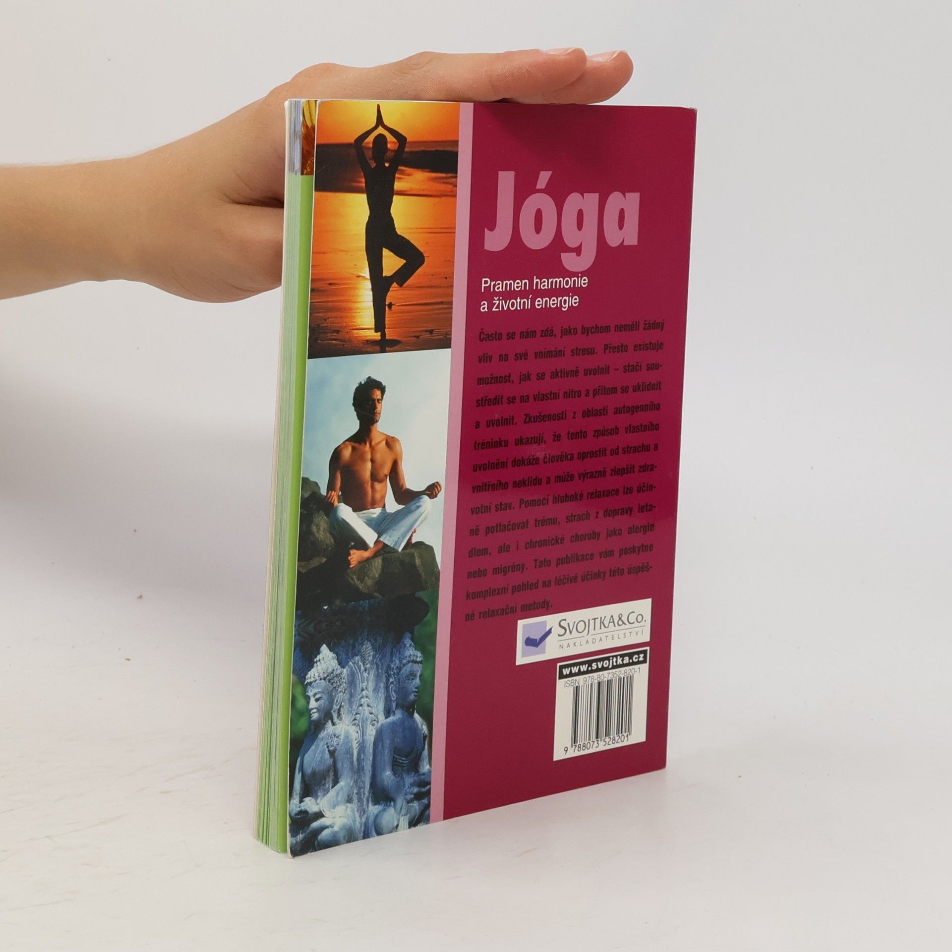 Autorenkollektiv Jóga. Pramen harmonie a životní energie