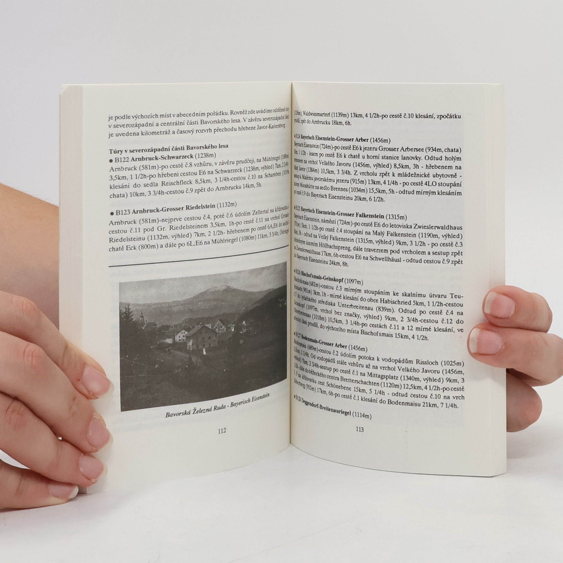 Various authors Šumava Trojmezí