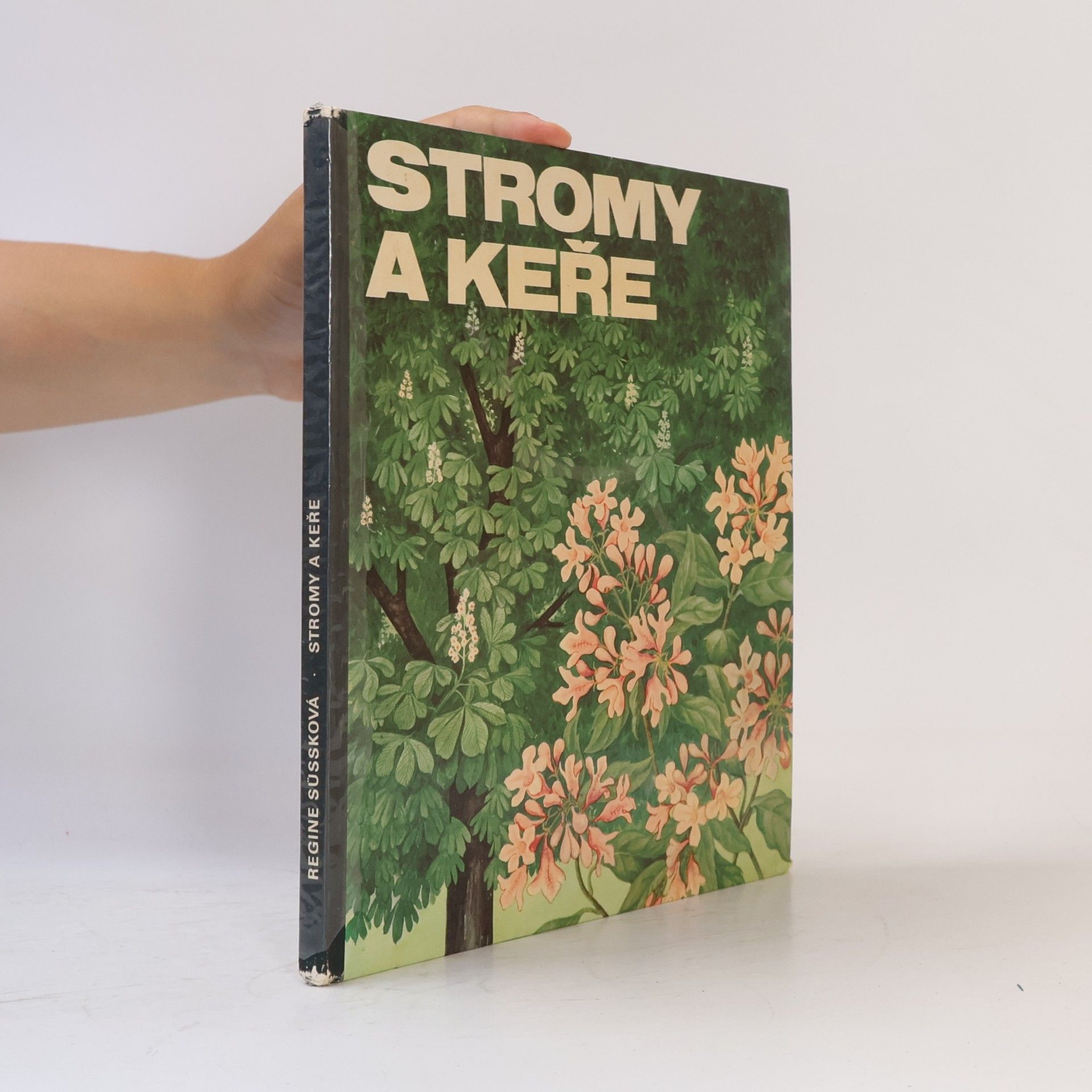 Regine Süssk Stromy a keře