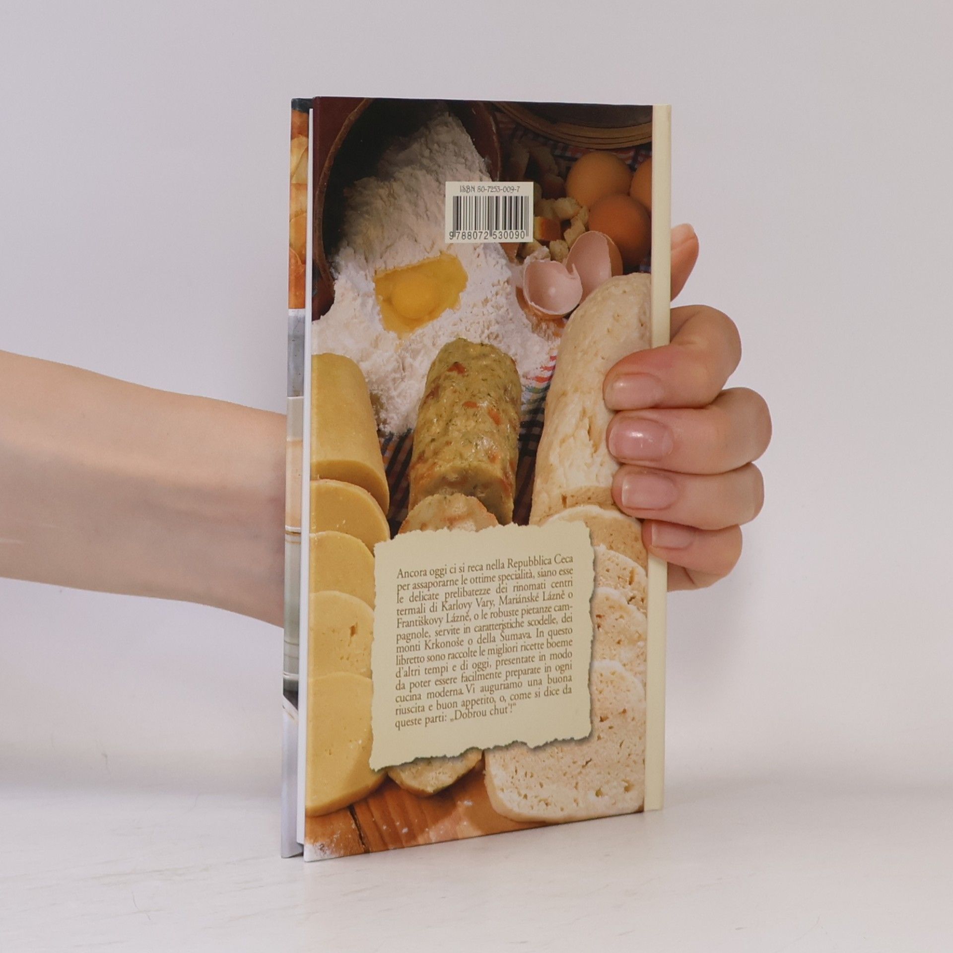 Harald Salfellner Le migliori ricette della cucina ceca