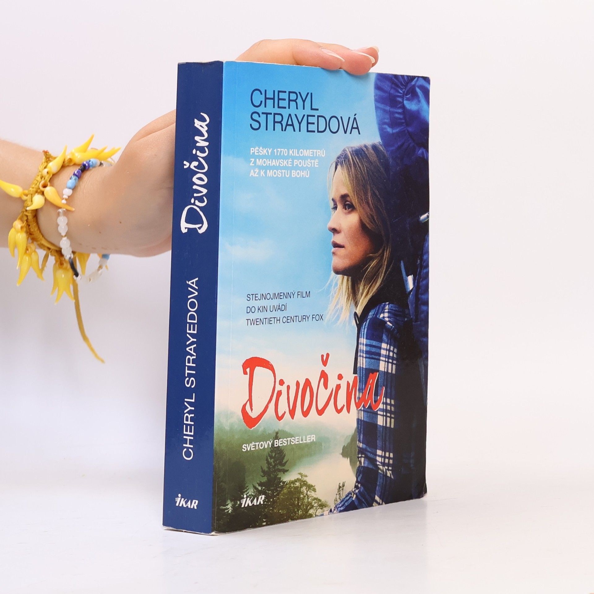 Cheryl Strayed Divočina. Pěšky 1770 kilometrů z Mohavské pouště až k mostu bohů