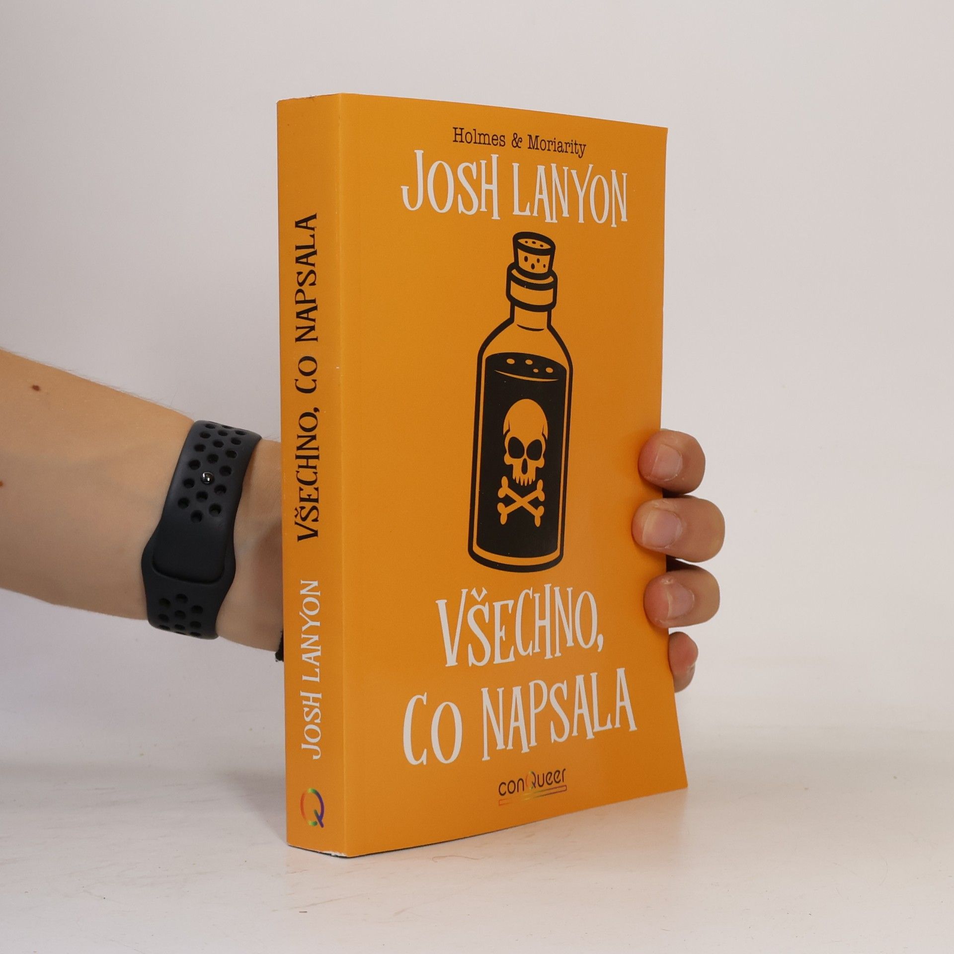 Josh Lanyon Holmes & Moriarity : Všechno, co napsala
