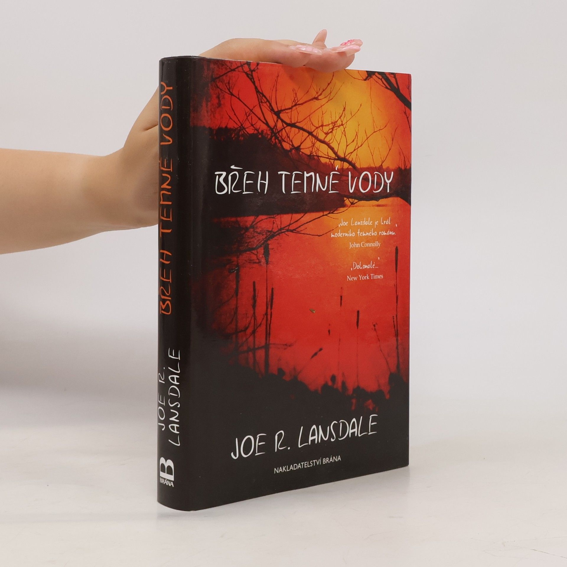 Joe R. Lansdale Břeh temné vody
