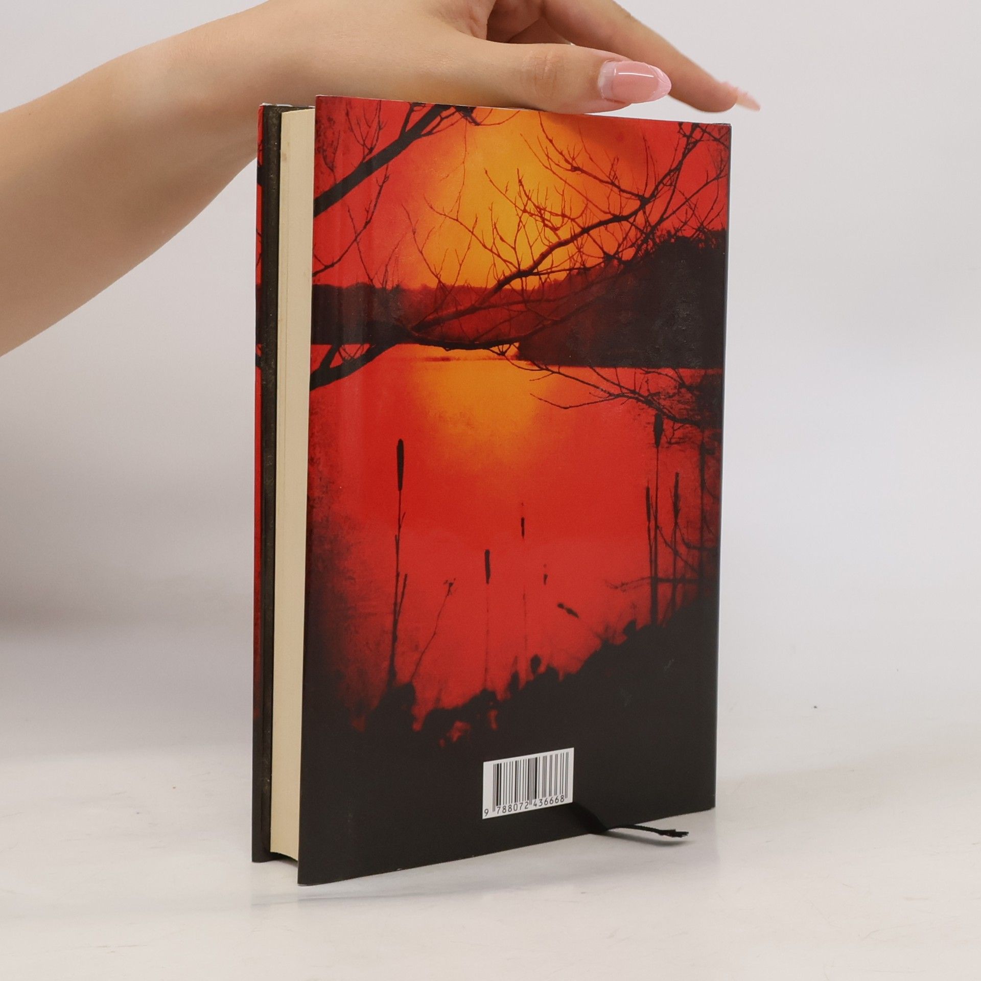 Joe R. Lansdale Břeh temné vody