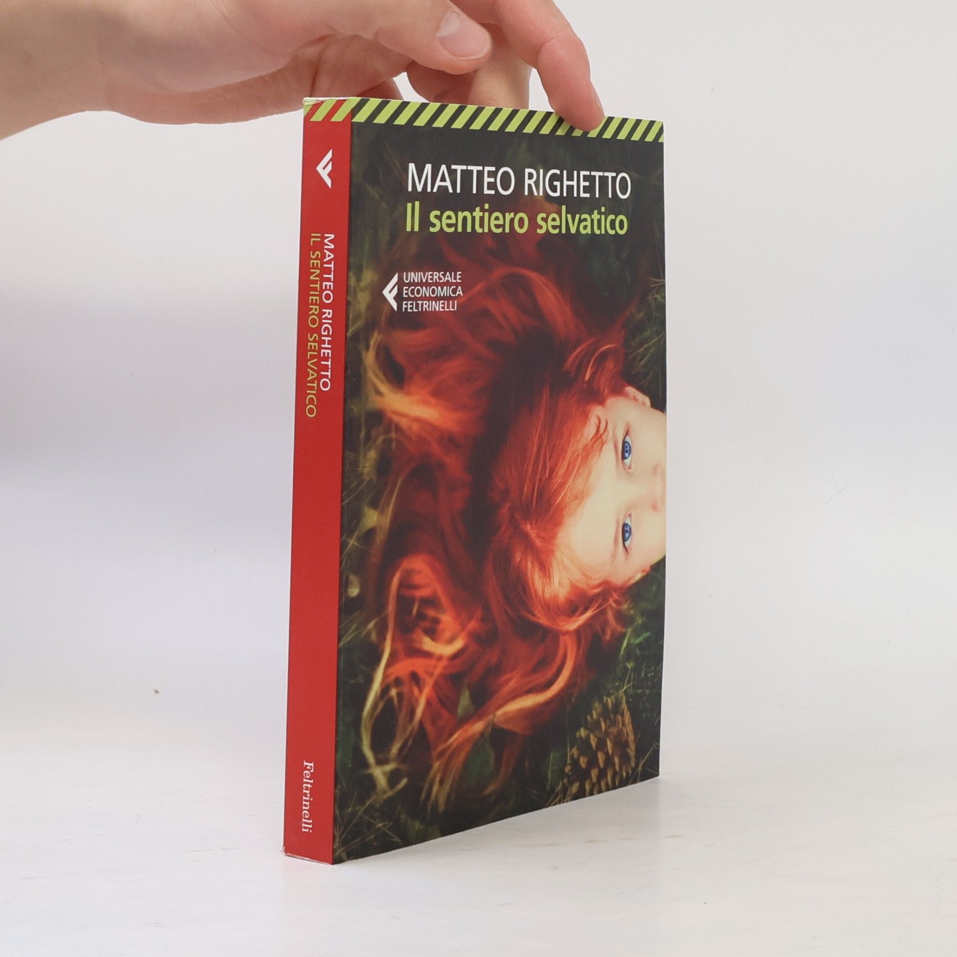 Matteo Righetto Il sentiero selvatico