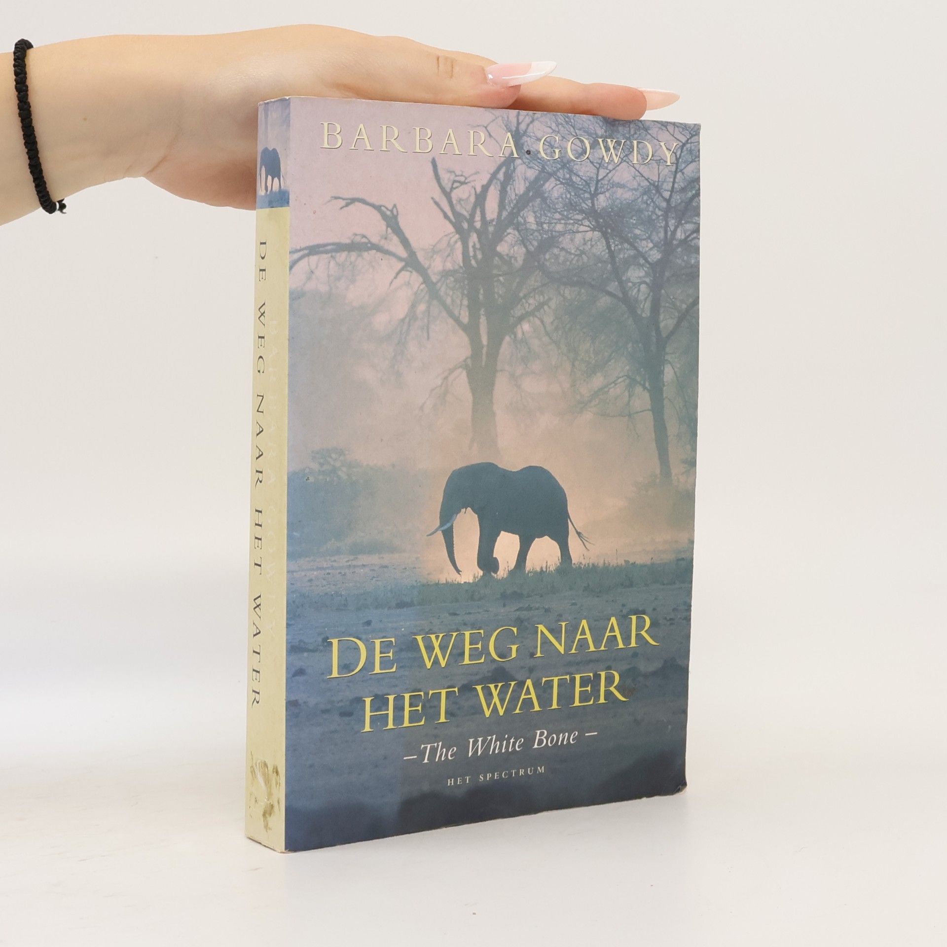 Barbara Gowdy De weg naar het water