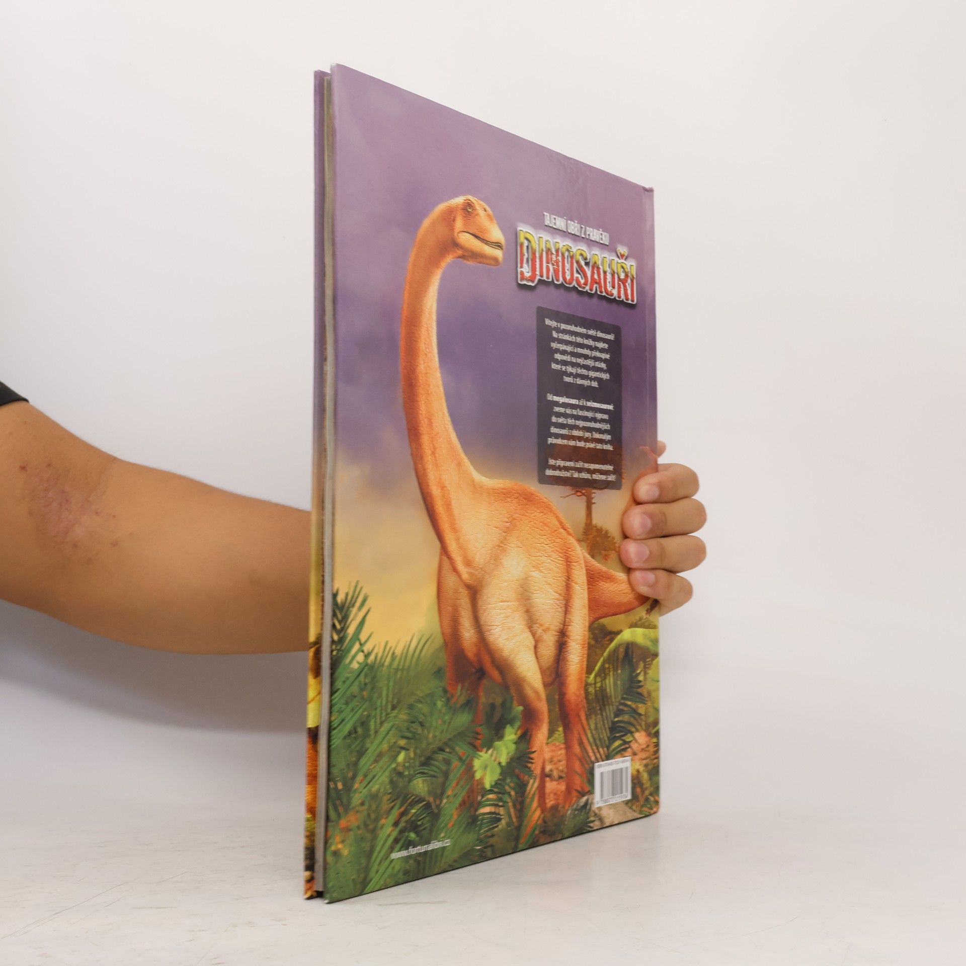 Autorenkollektiv Dinosauři