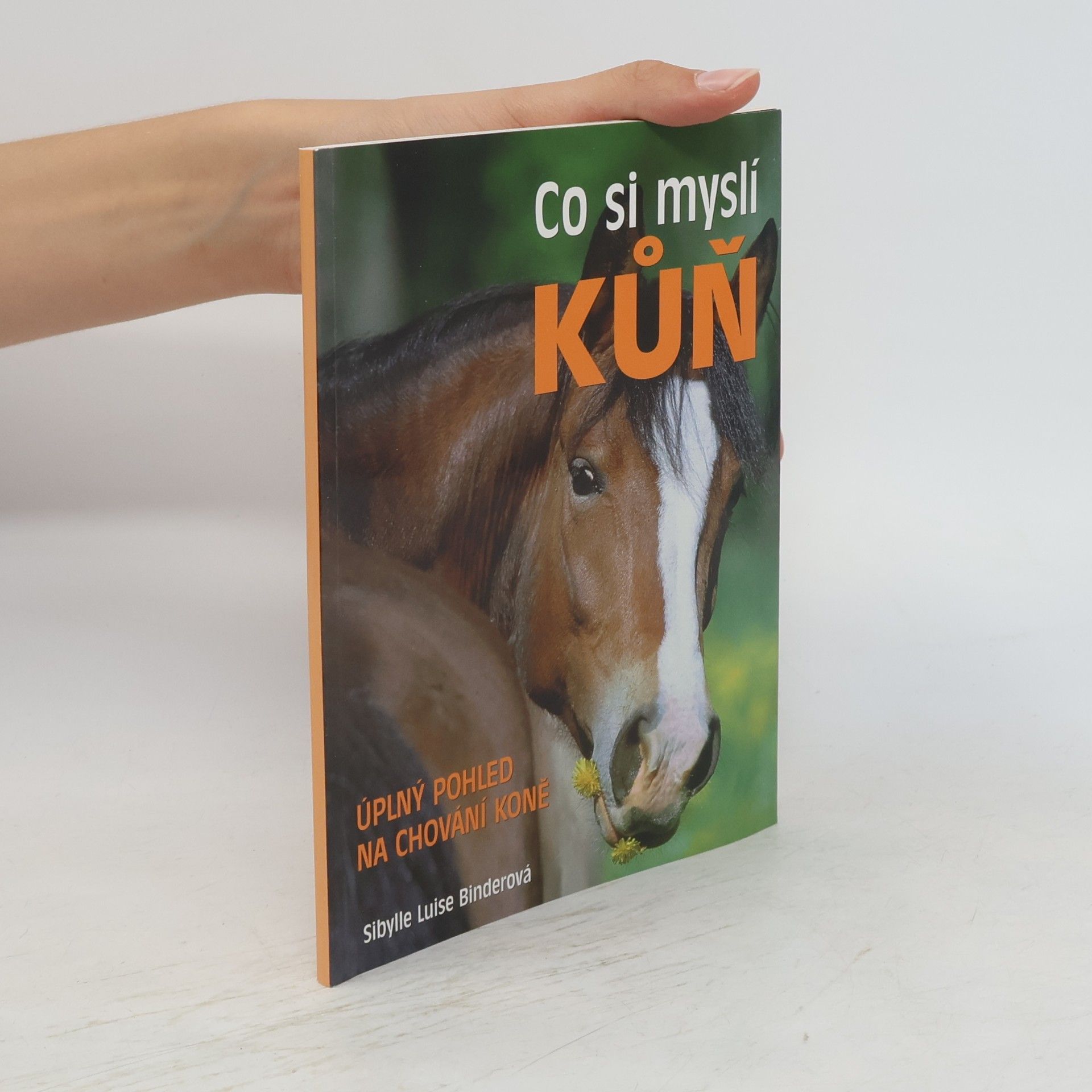 Sibylle Luise Binder Co si myslí kůň : úplný pohled na chování koně