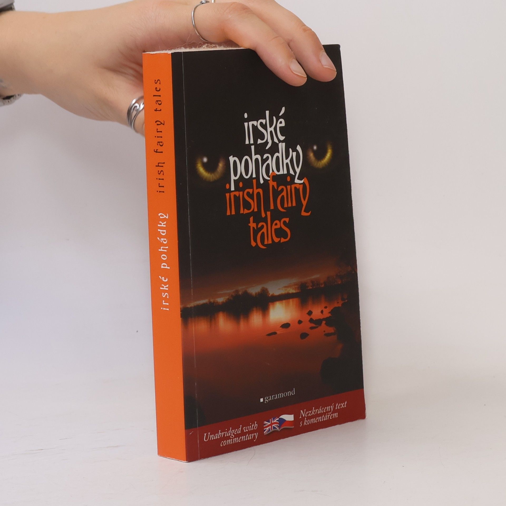 Lukáš Houdek Irish fairy tales = Irské pohádky