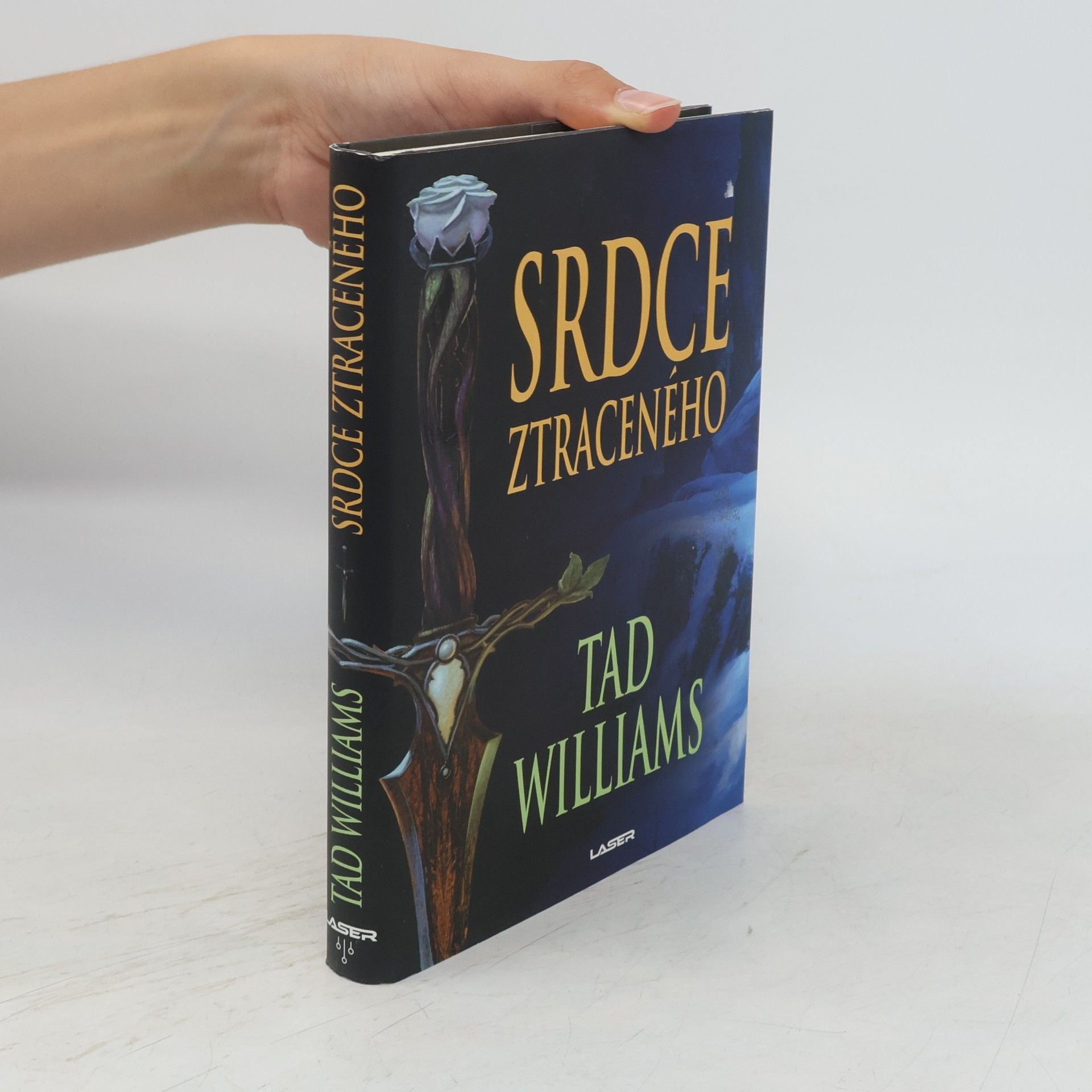 Tad Williams Srdce ztraceného