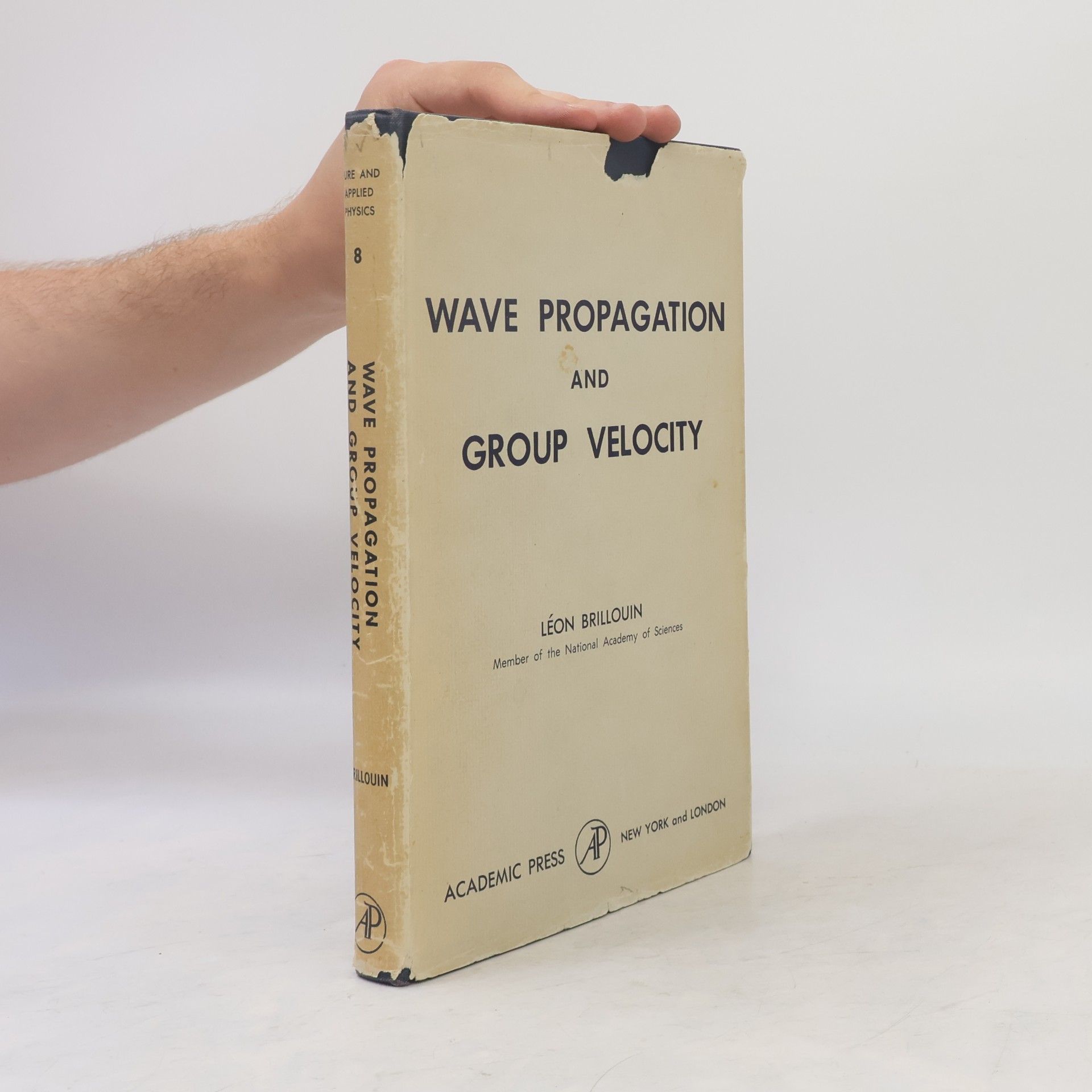 Léon Brillouin Wave Propagation and Group Velocity