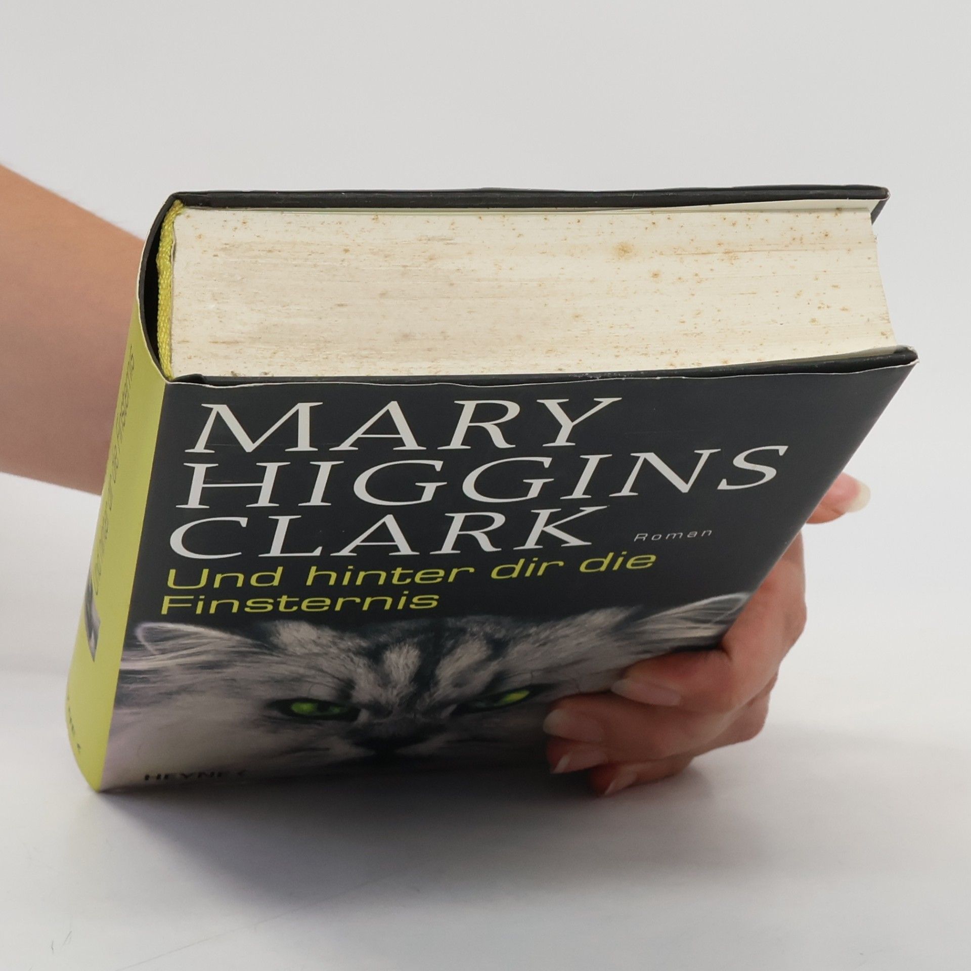 Mary Higgins Clark Und hinter dir die Finsternis