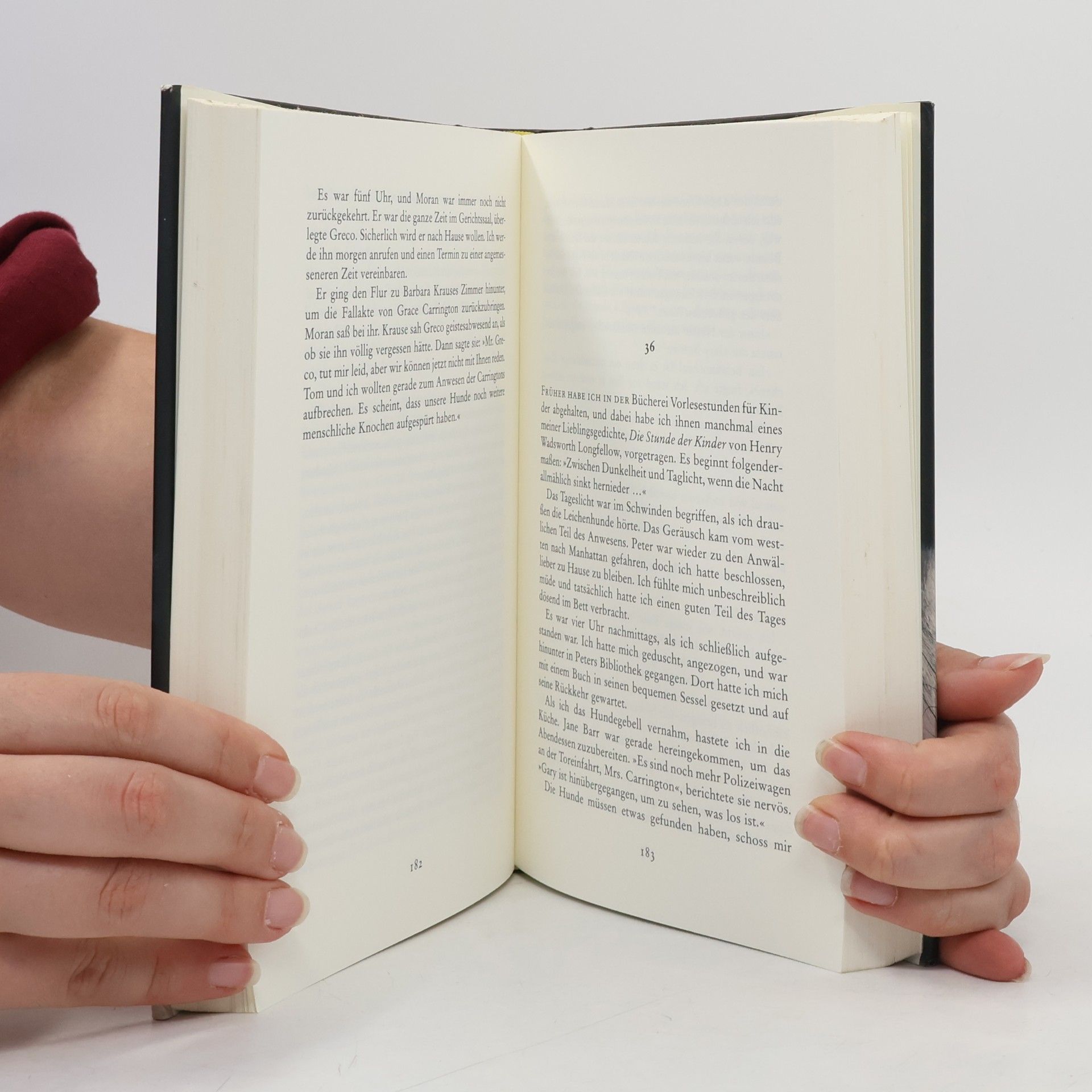 Mary Higgins Clark Und hinter dir die Finsternis