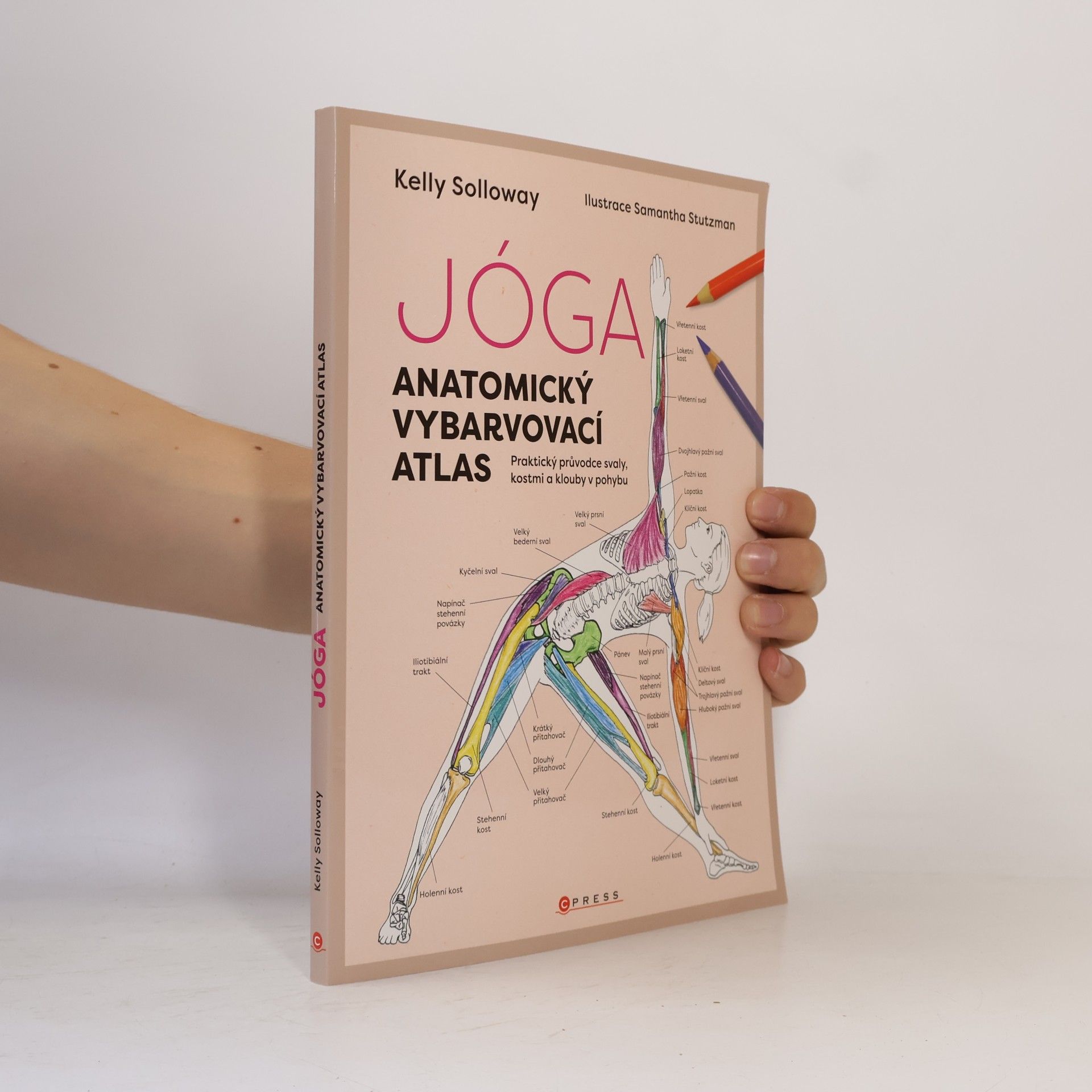 Kateřina Trenzová Jóga. Anatomický vybarvovací atlas. Praktický průvodce svaly, kostmi a klouby v pohybu
