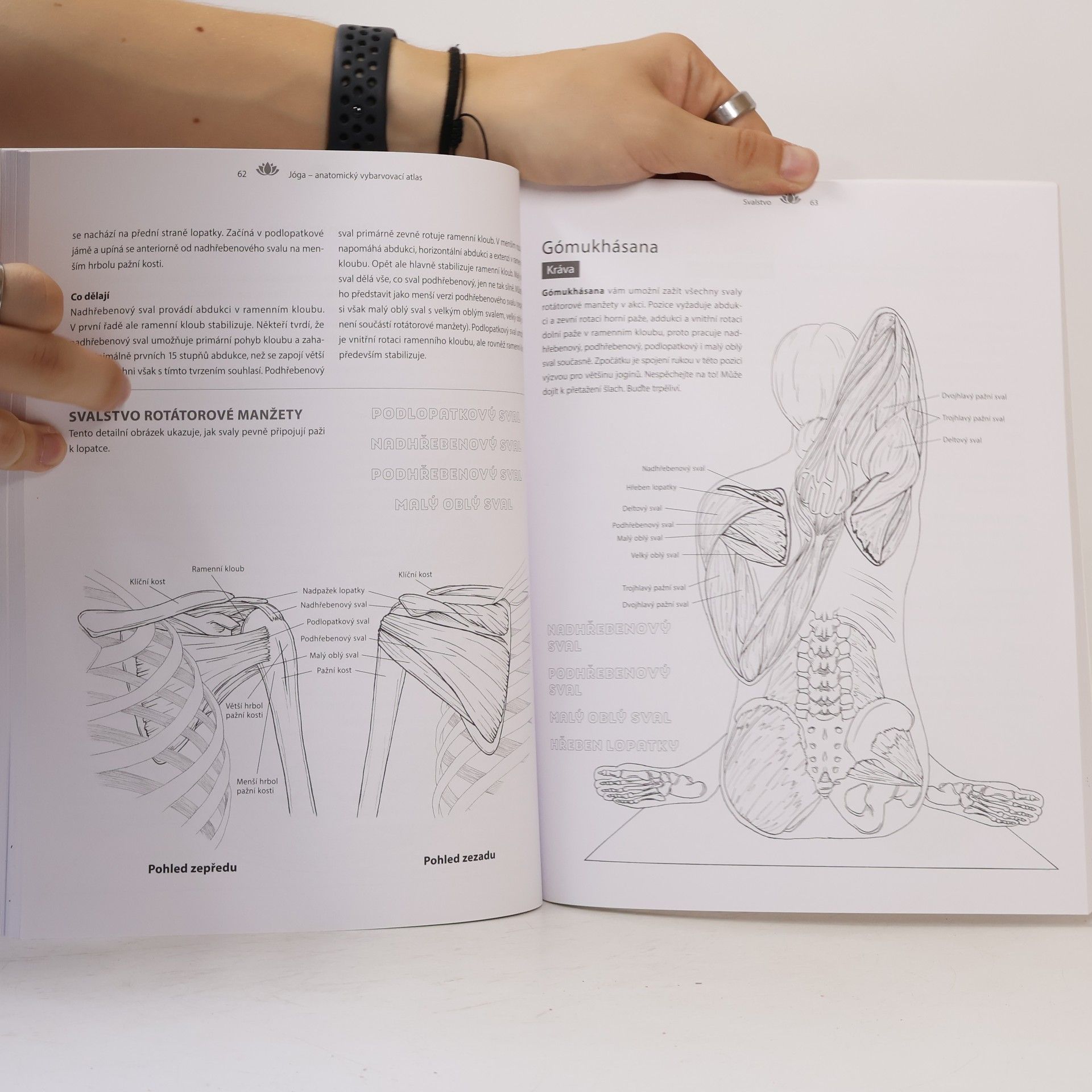 Kelly Solloway Jóga. Anatomický vybarvovací atlas. Praktický průvodce svaly, kostmi a klouby v pohybu
