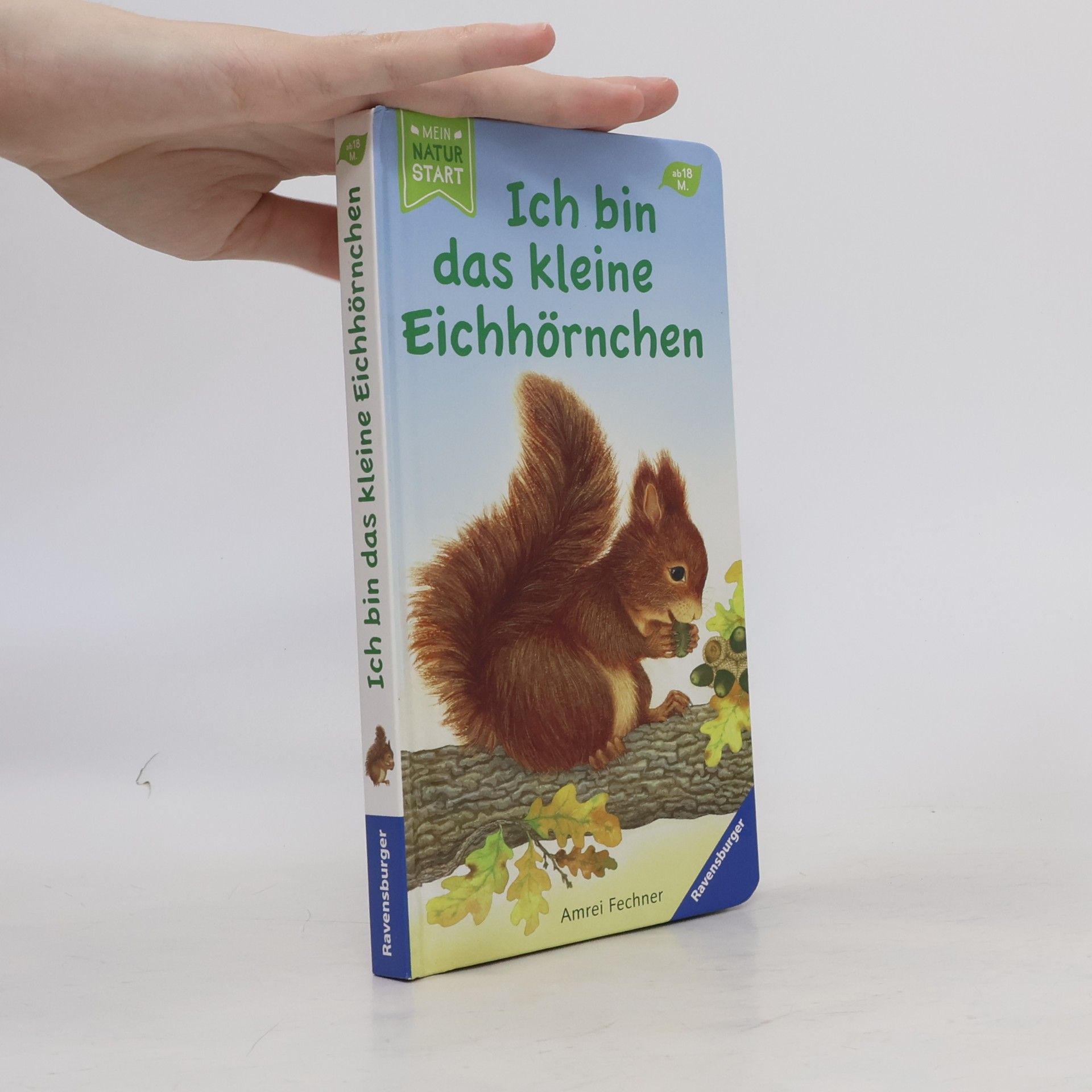 Amrei Fechner Ich bin das kleine Eichhörnchen