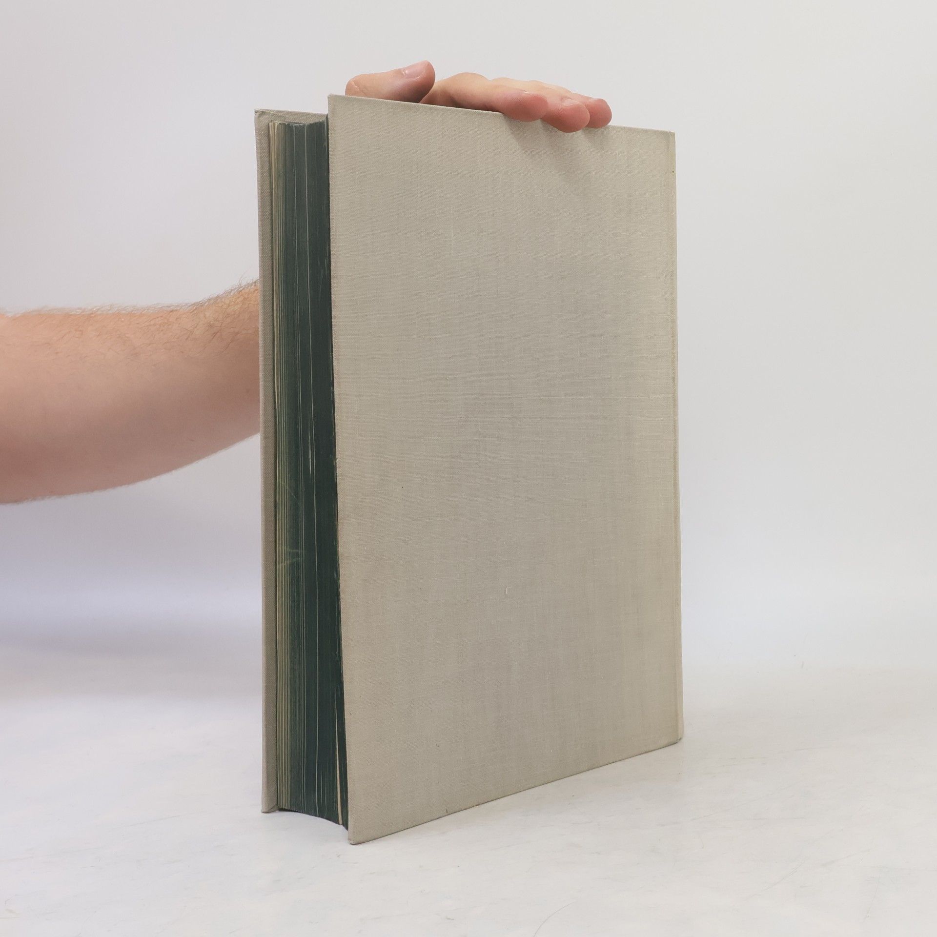 Autorenkollektiv Grundzüge der Geologie