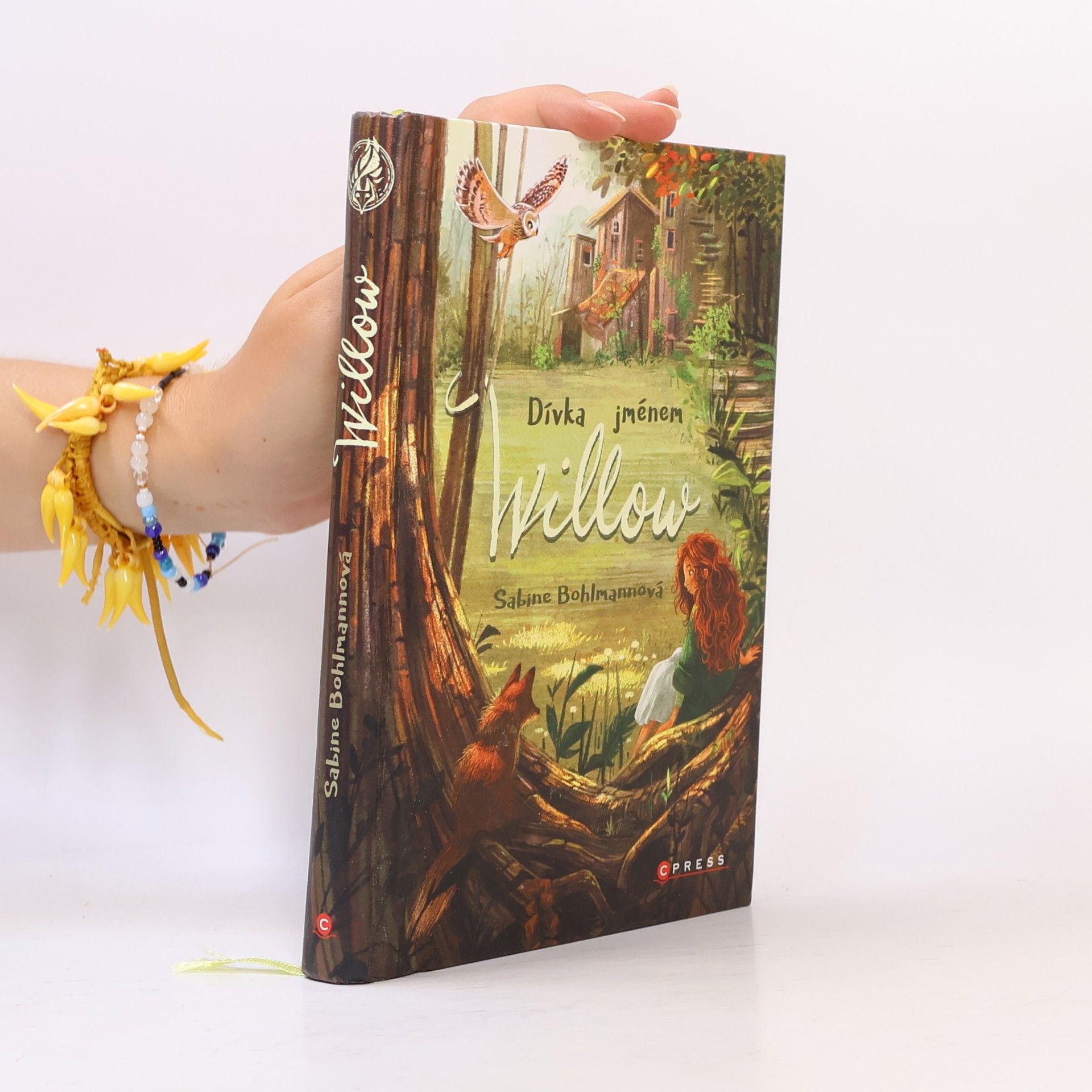 Sabine Bohlmann Dívka jménem Willow