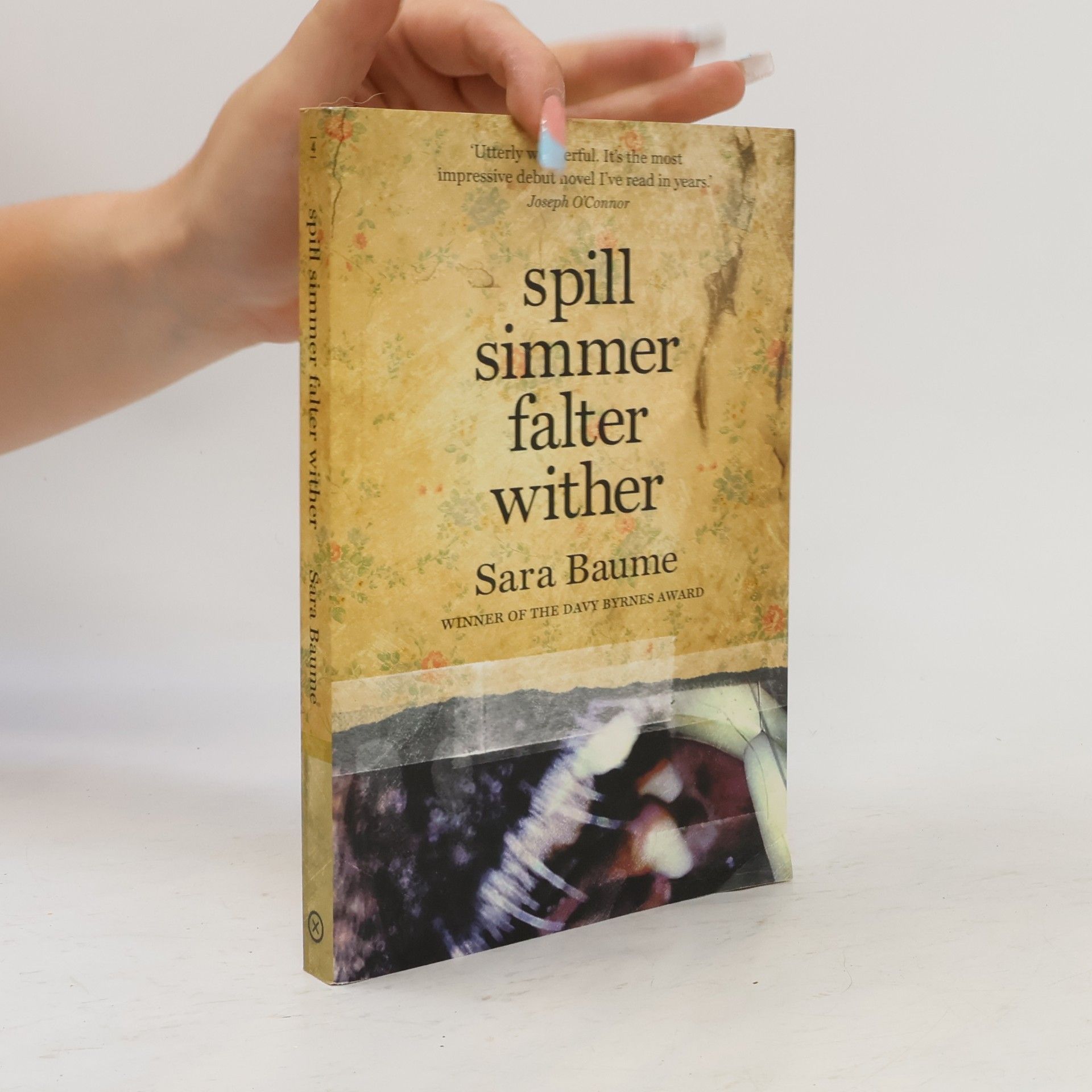 Sara Baume Spill, Simmer, Falter, Wither